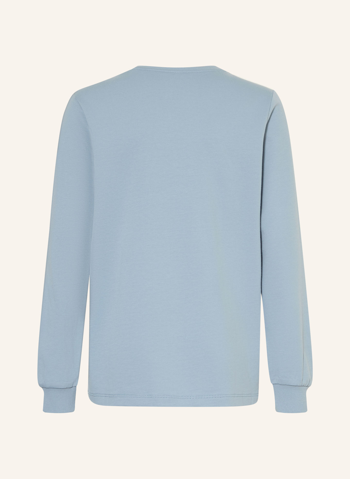s.Oliver RED Sweatshirt: HELLBLAU