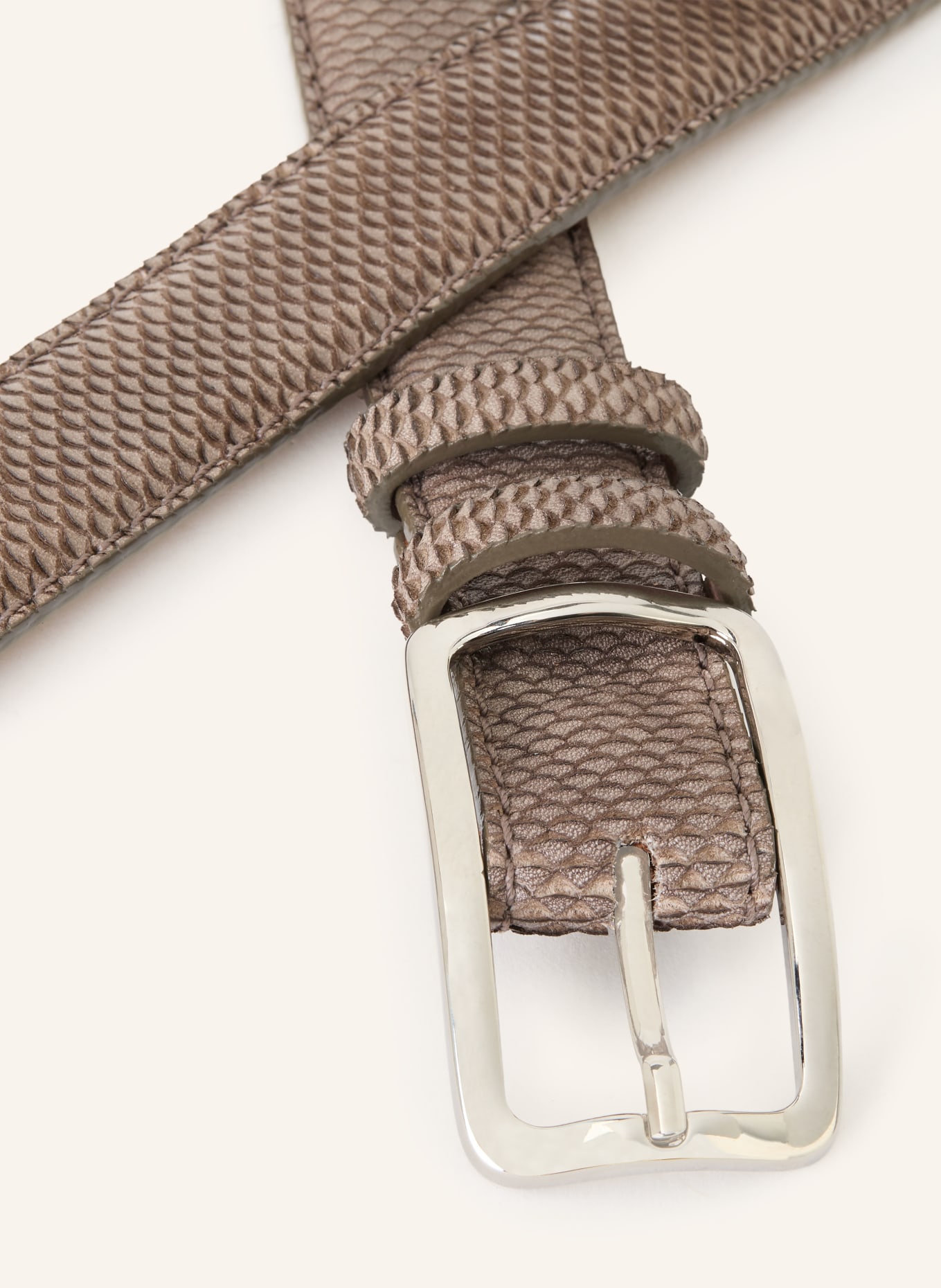 Reptile's House Curea BLIND: TAUPE / ARGINT