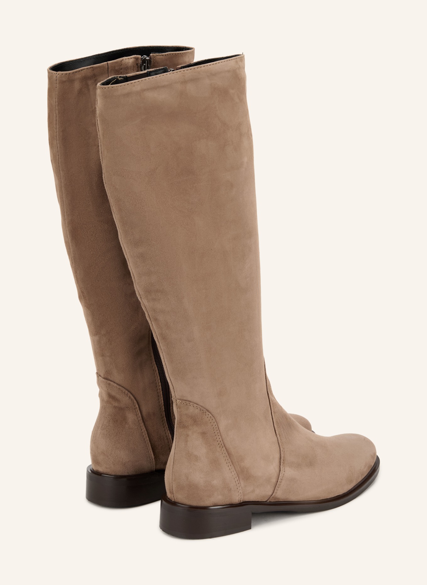 darling harbour Stiefel: TAUPE