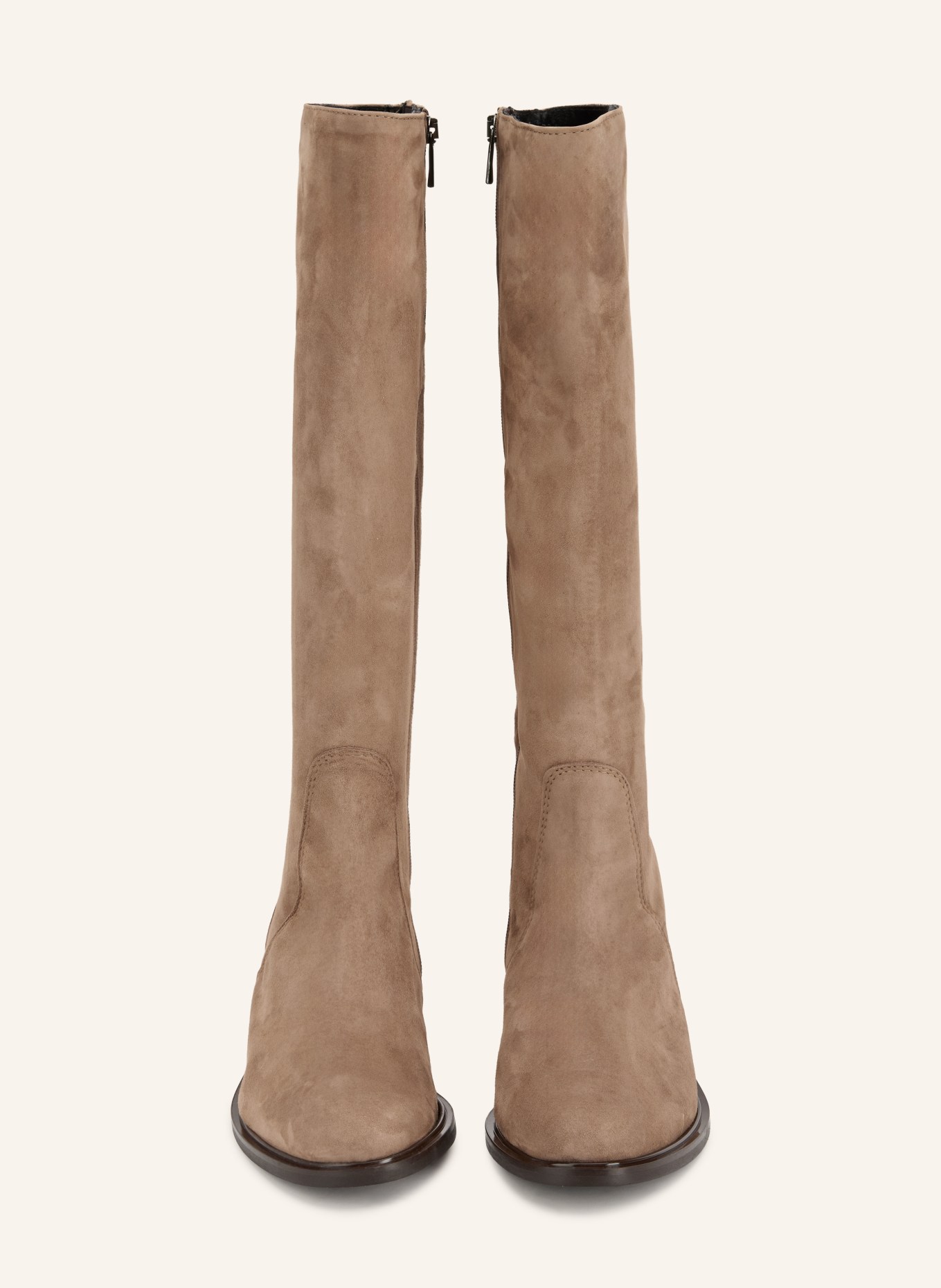 darling harbour Stiefel: TAUPE