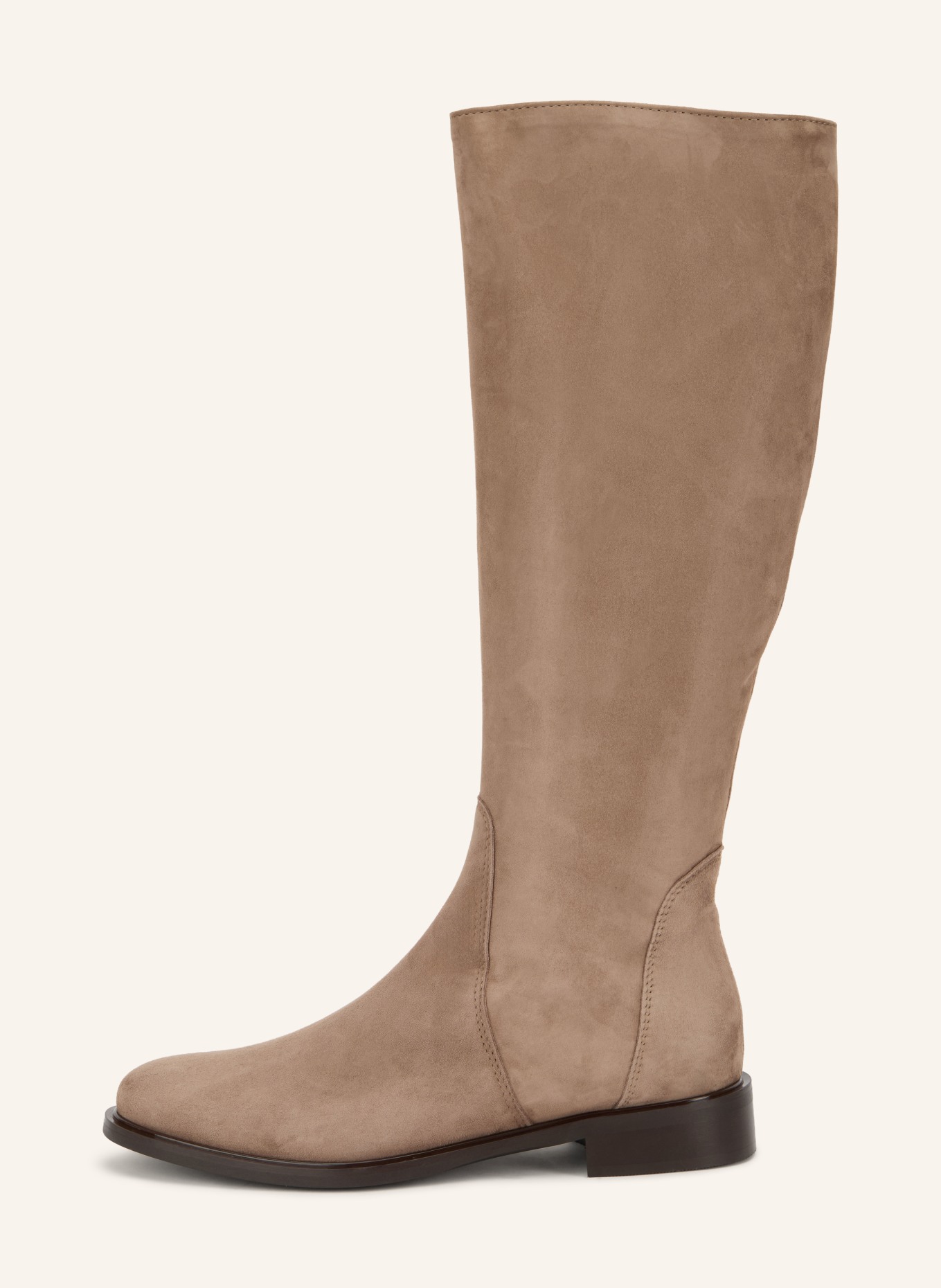 darling harbour Stiefel: TAUPE
