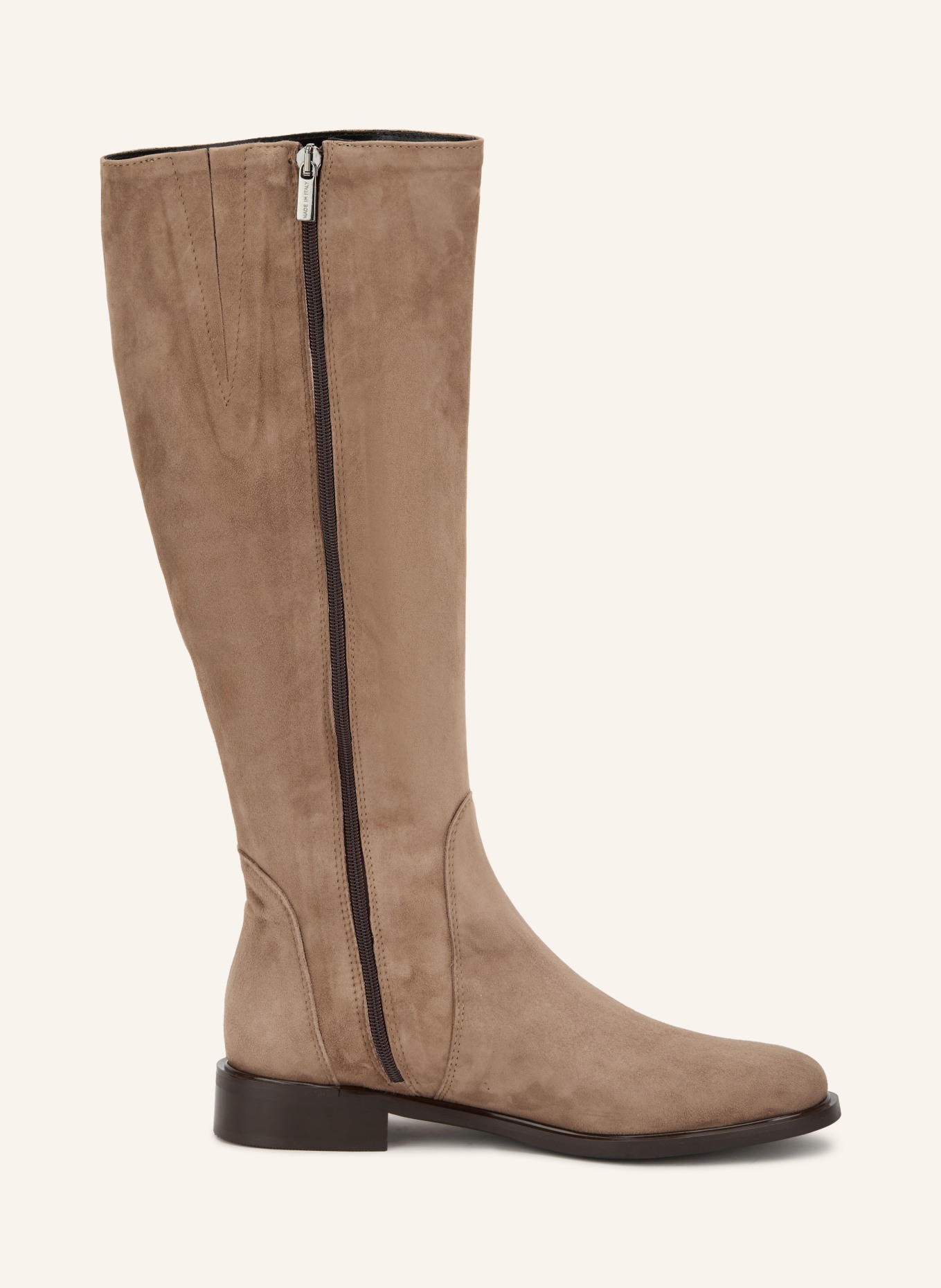 darling harbour Stiefel: TAUPE
