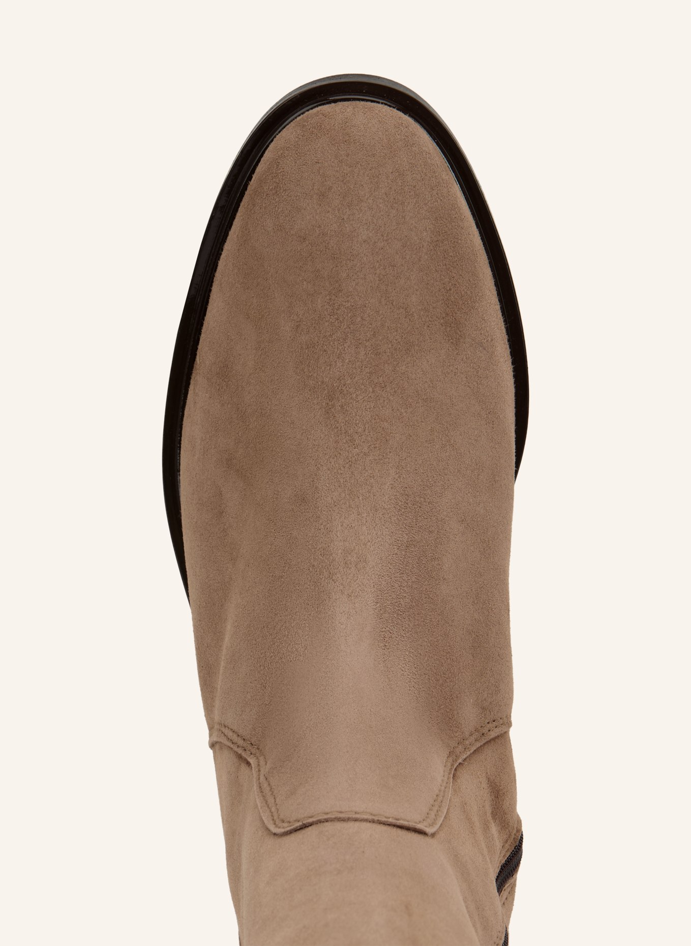 darling harbour Stiefel: TAUPE