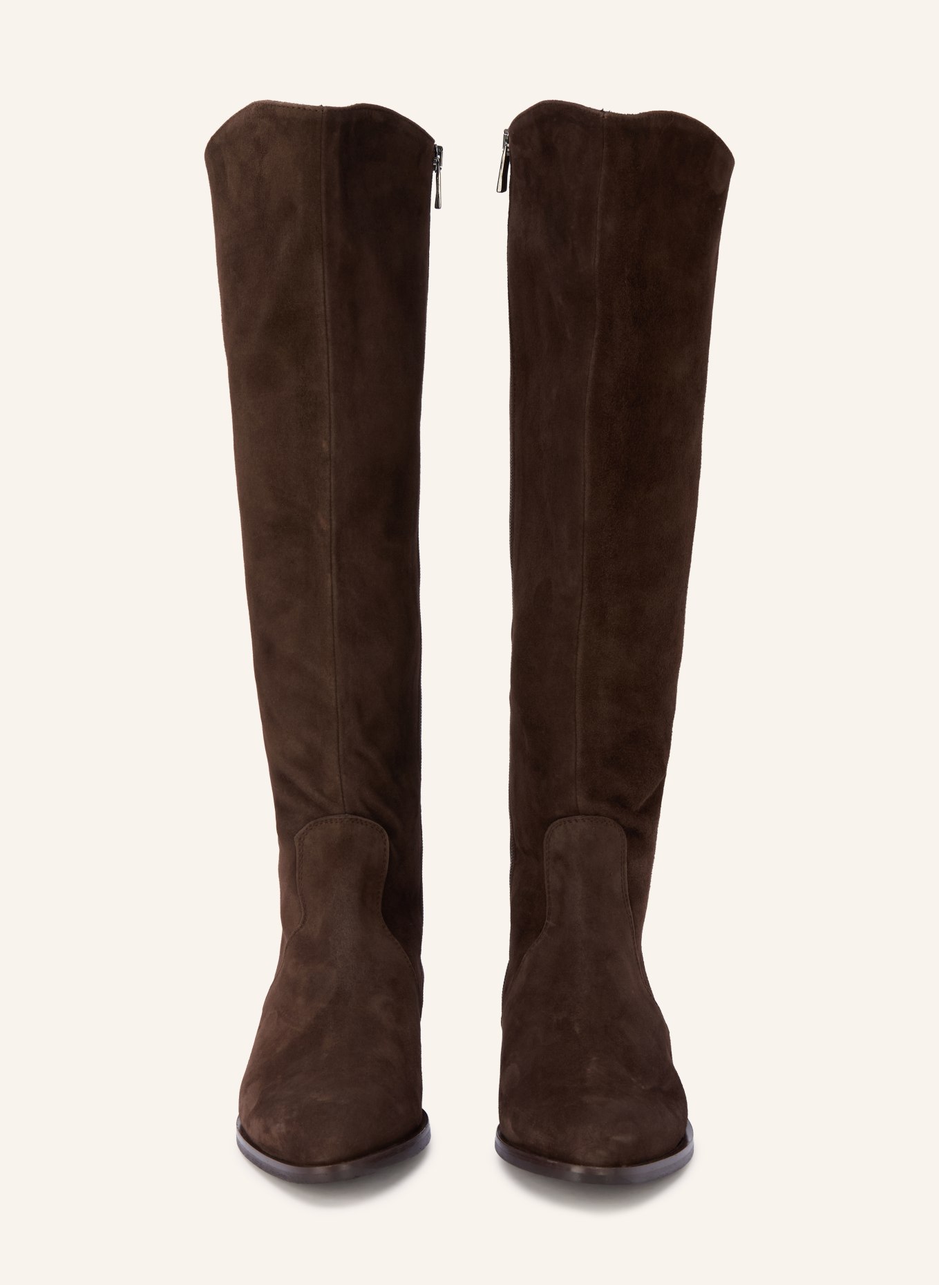 darling harbour Overknee laarzen: MARRON FONCÉ / PLATINA
