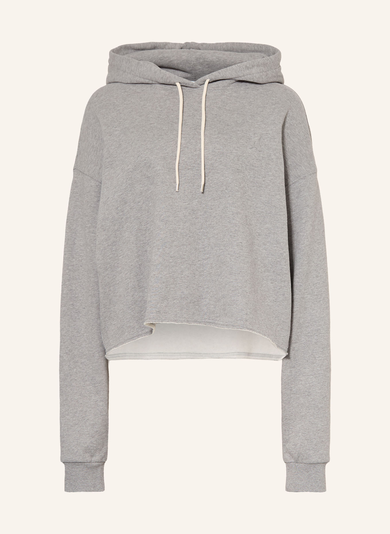 ARMEDANGELS Hoodie ICONIC: GRIJS