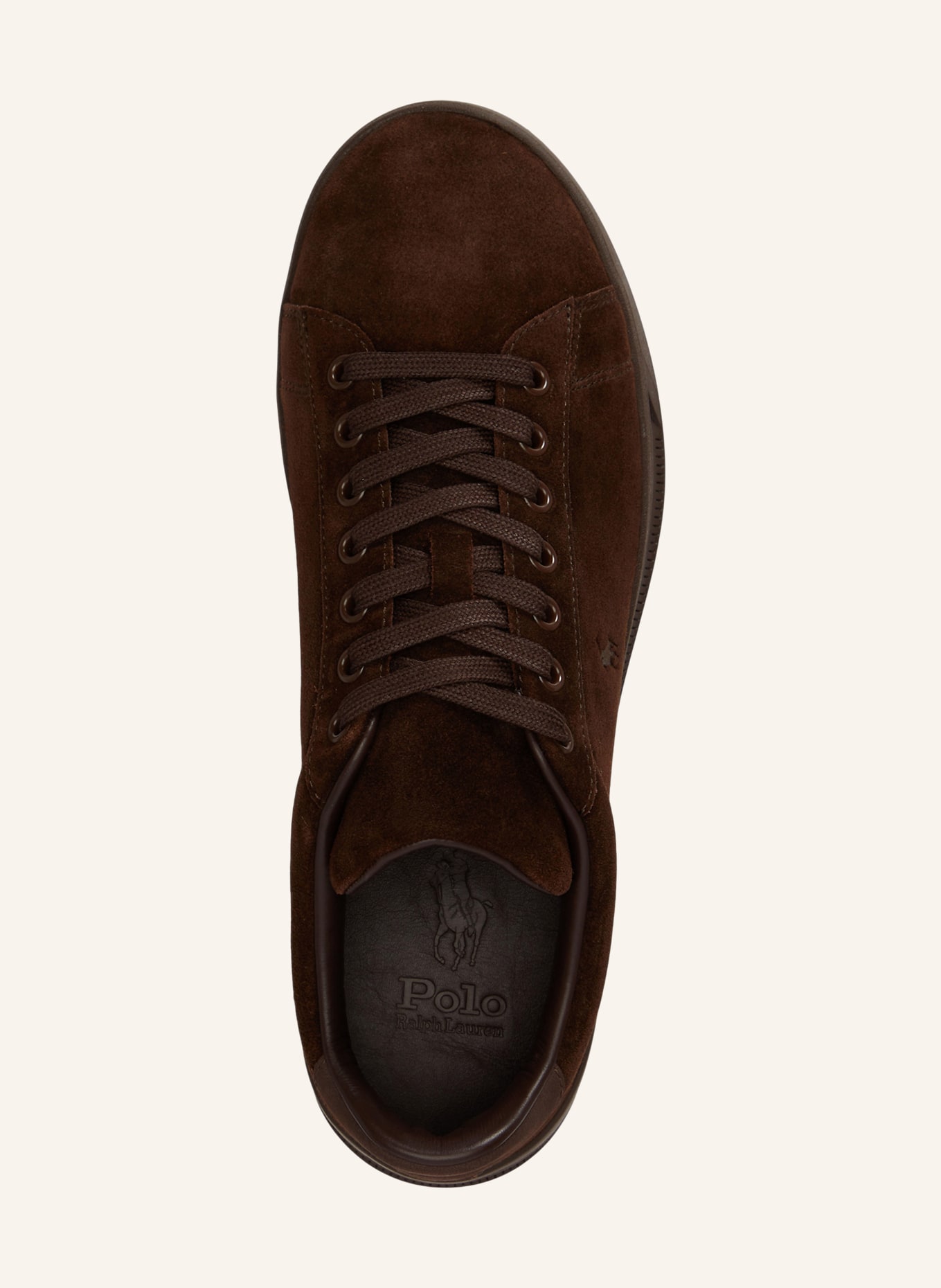 POLO RALPH LAUREN Sneakers: MARRON FONCÉ
