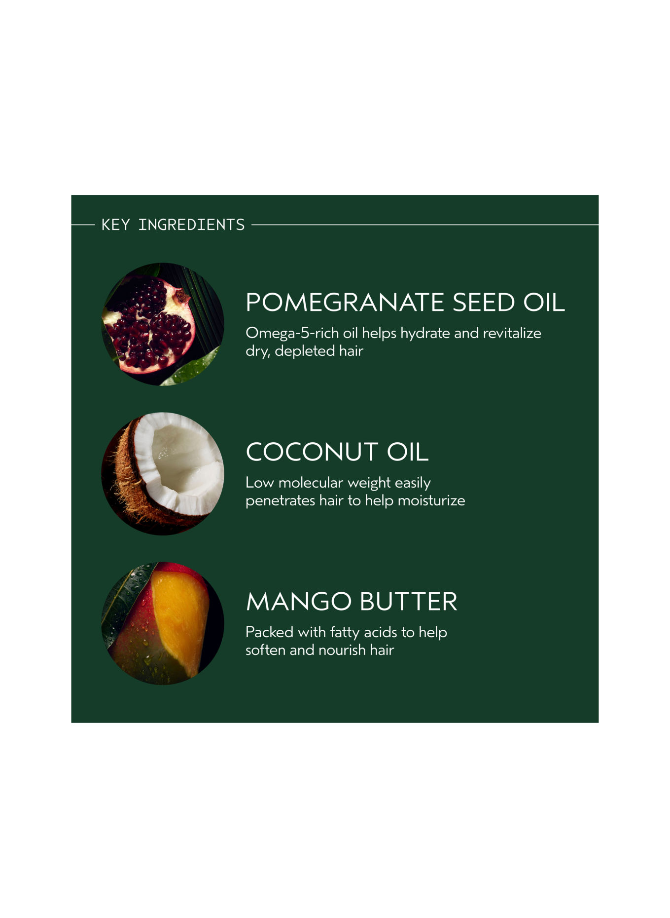 AVEDA NUTRIPLENISH™