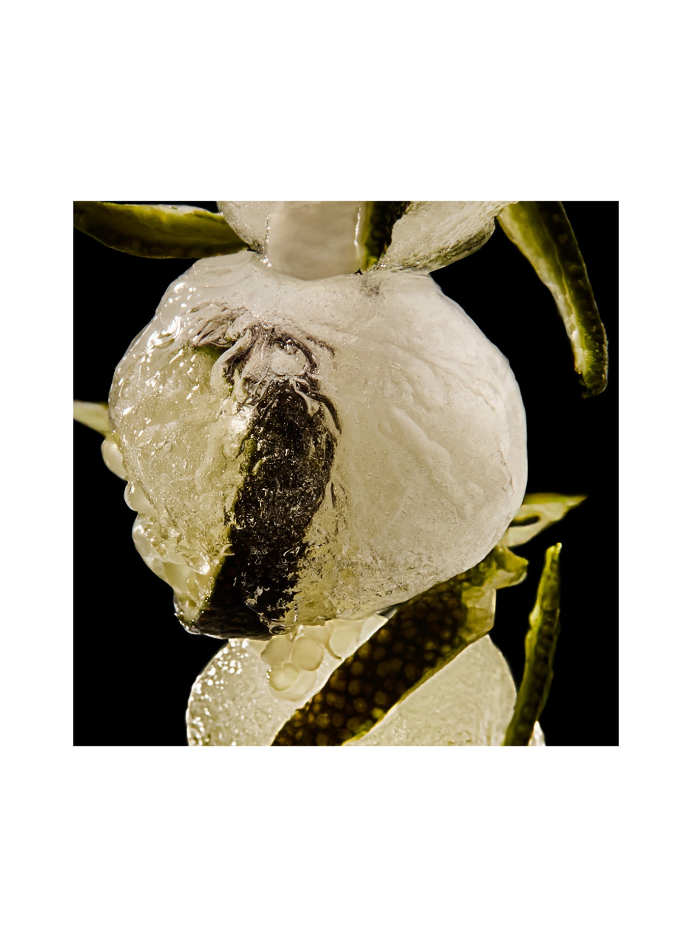 BON PARFUMEUR 005 RIVIERA ABSOLUE