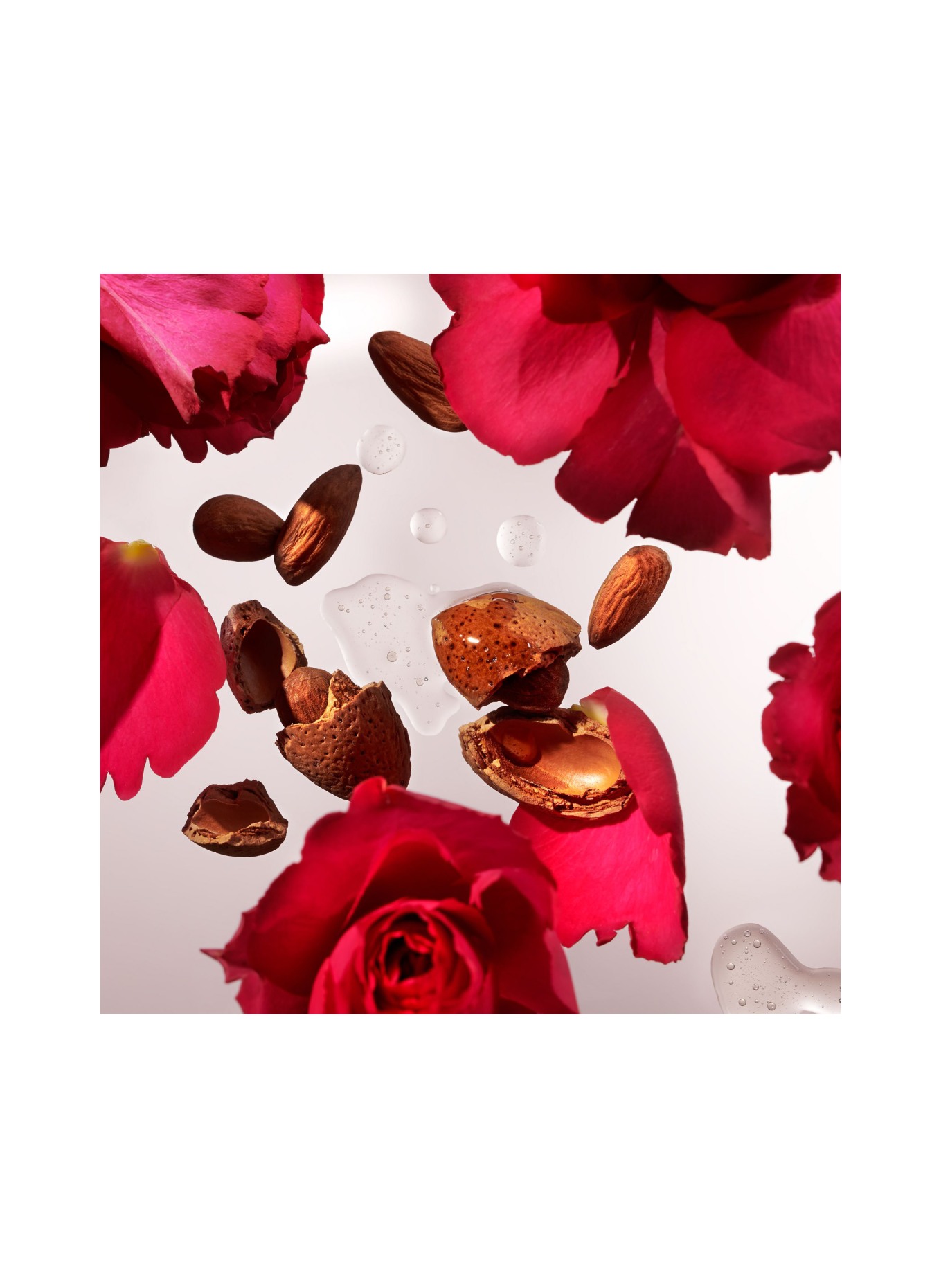 RITUALS THE RITUAL OF AYURVEDA