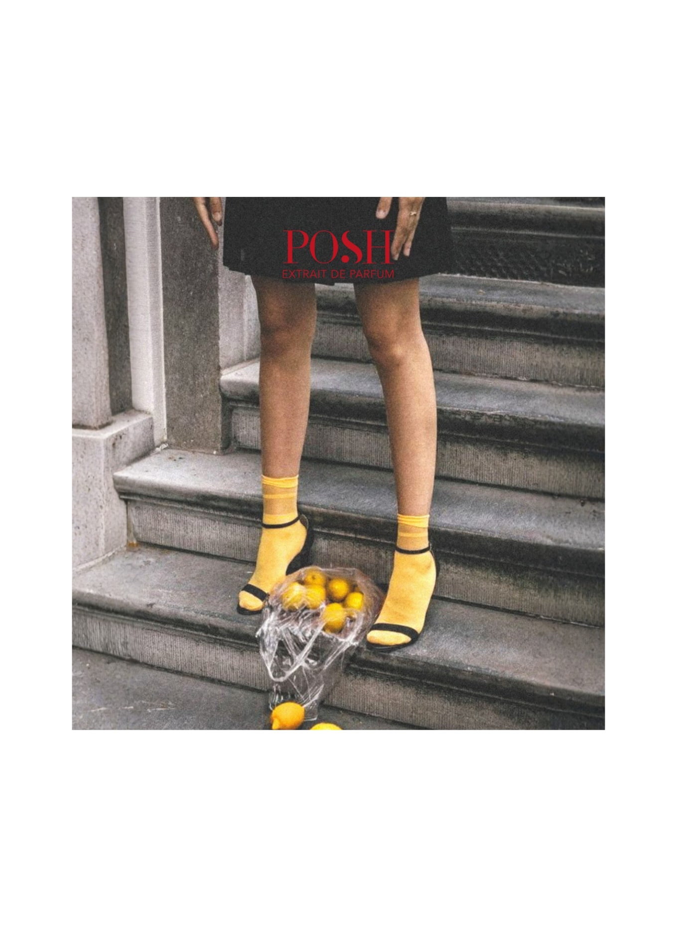 POSH NUMERO 2