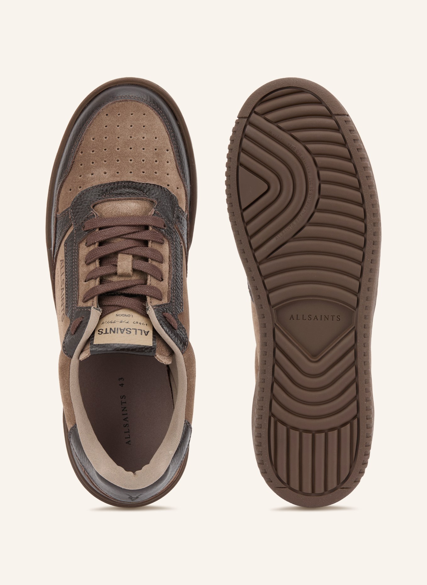 ALLSAINTS Sneaker REGAN: HELLBRAUN / DUNKELBRAUN
