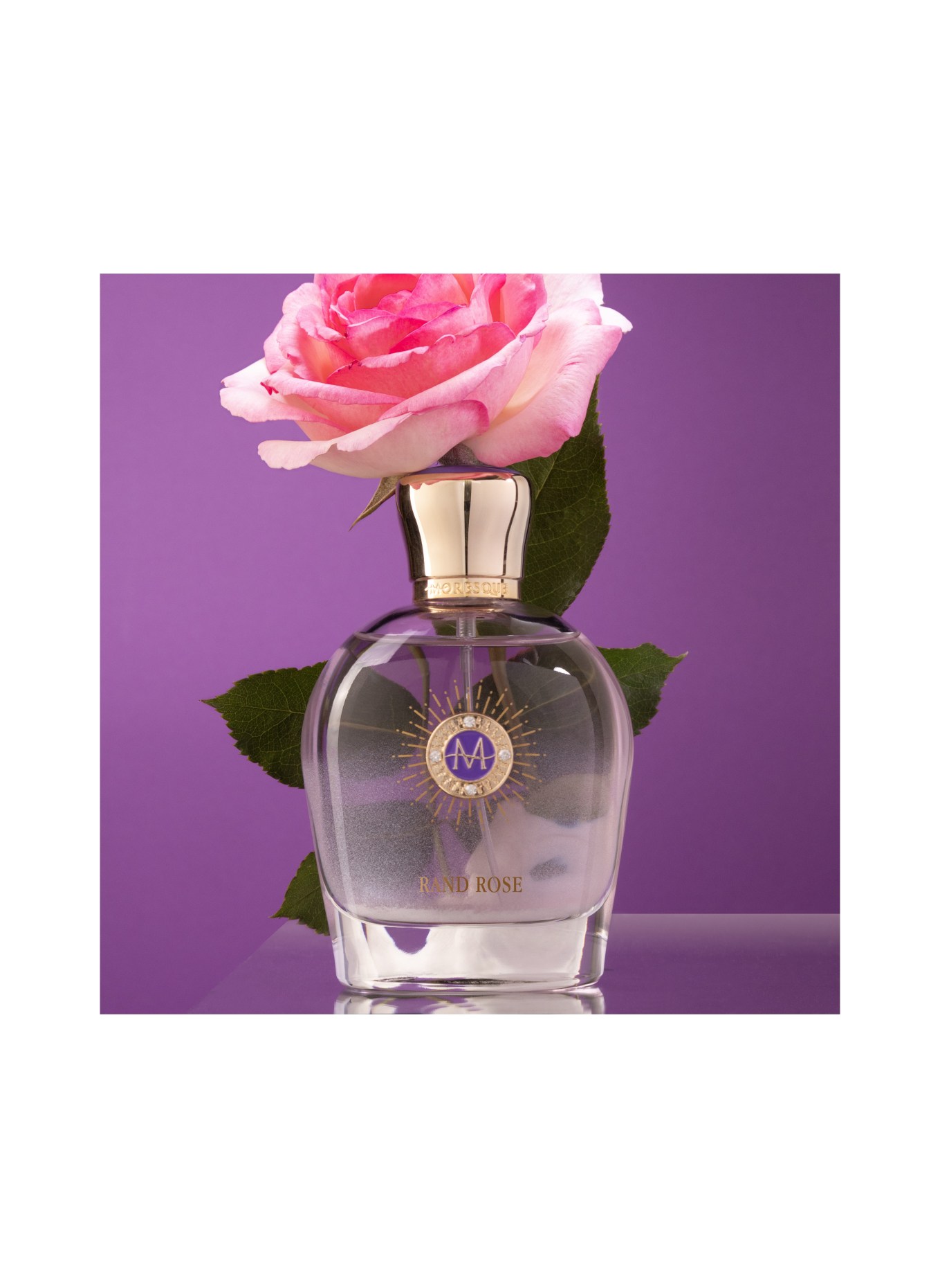 MORESQUE RAND ROSE