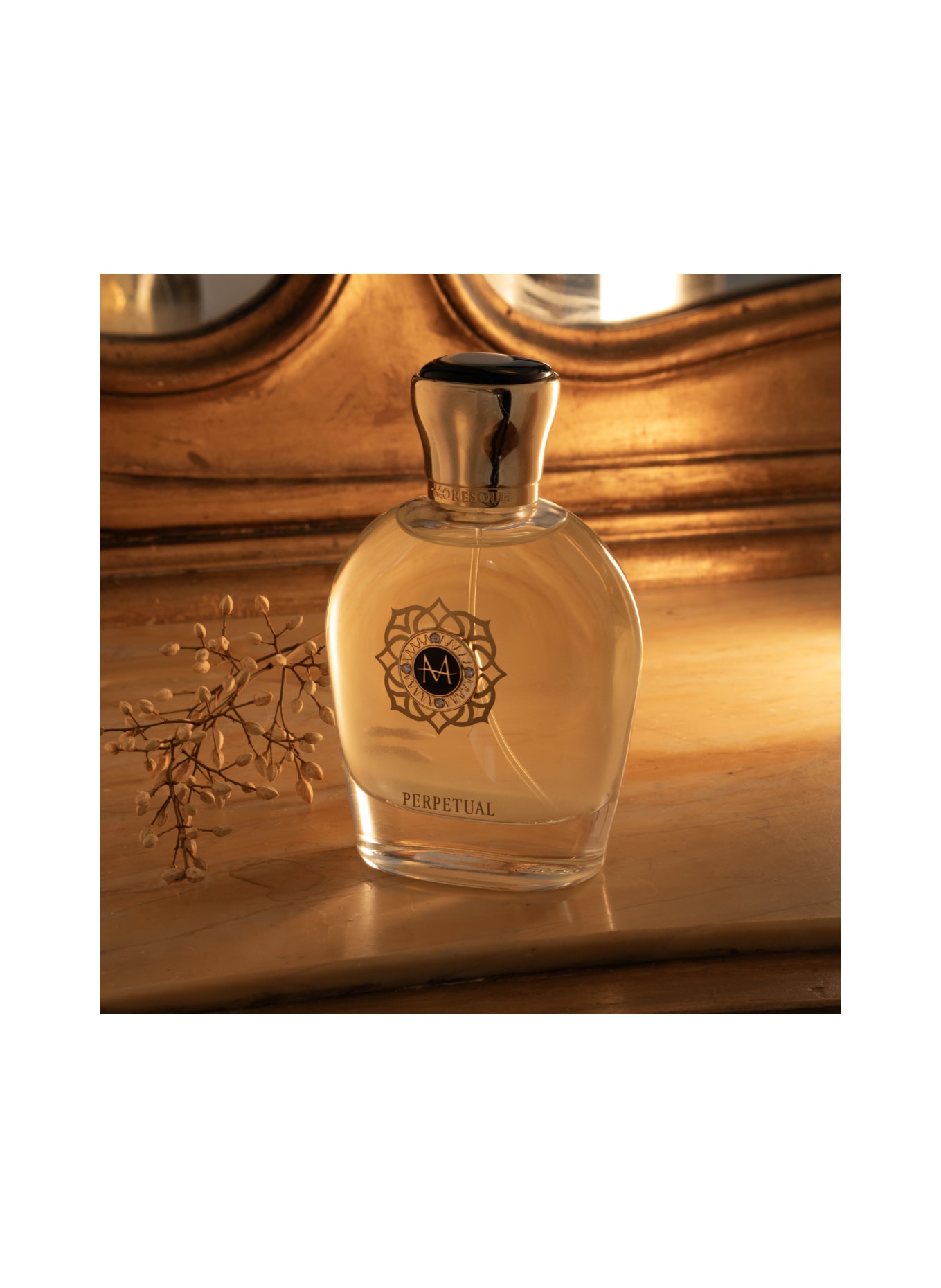 MORESQUE PERPETUAL