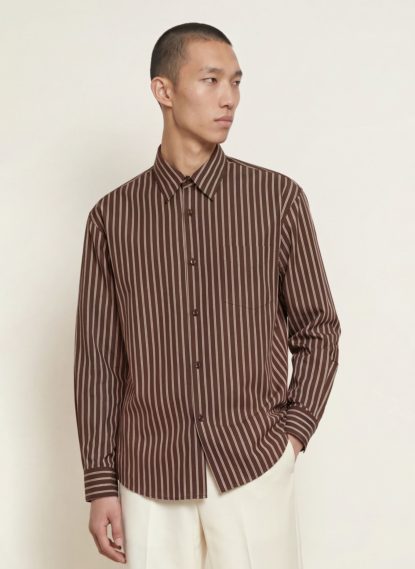 SANDRO Hemd Comfort Fit: BRAUN / BEIGE