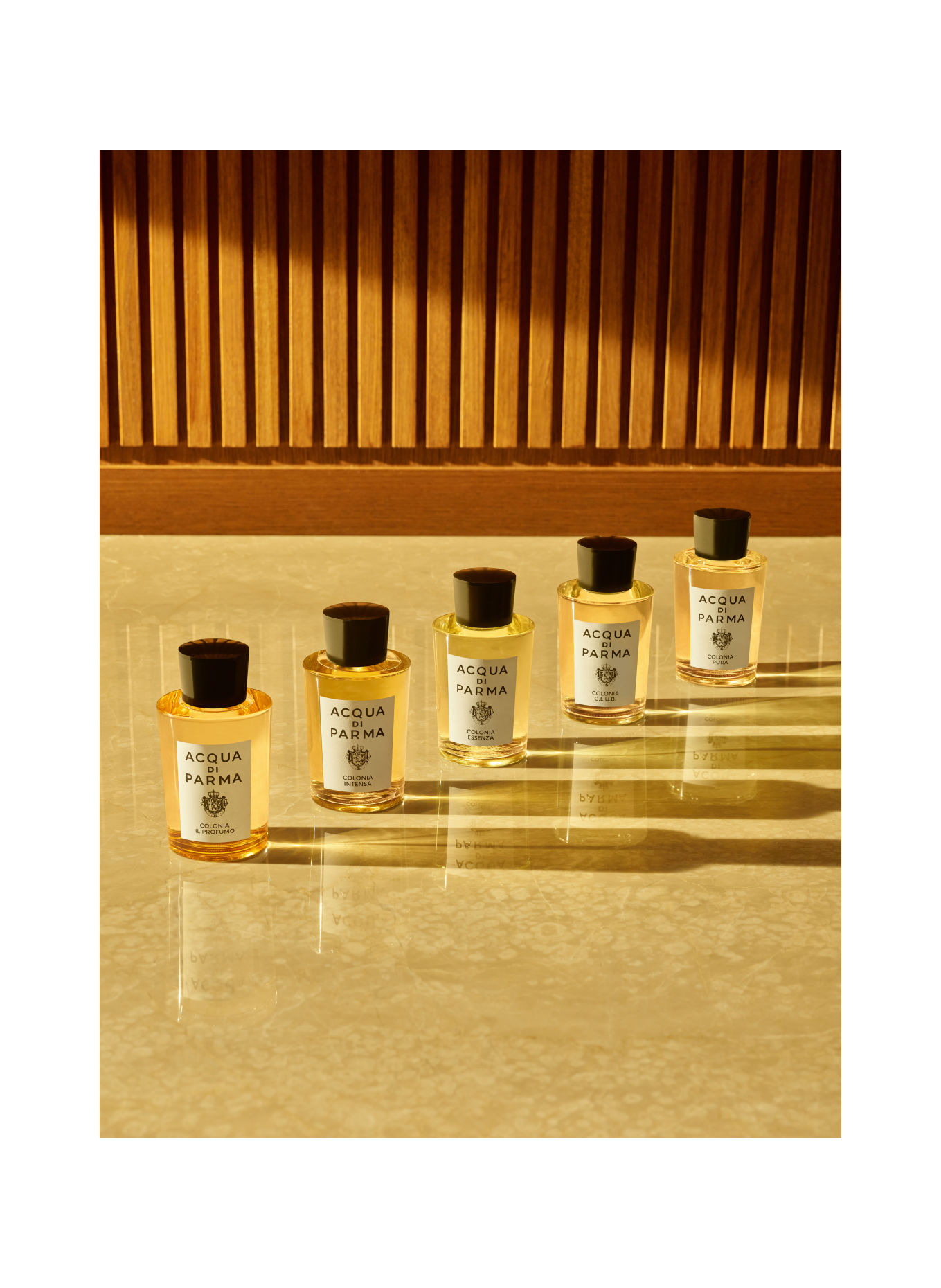 ACQUA DI PARMA COLONIA IL PROFUMO