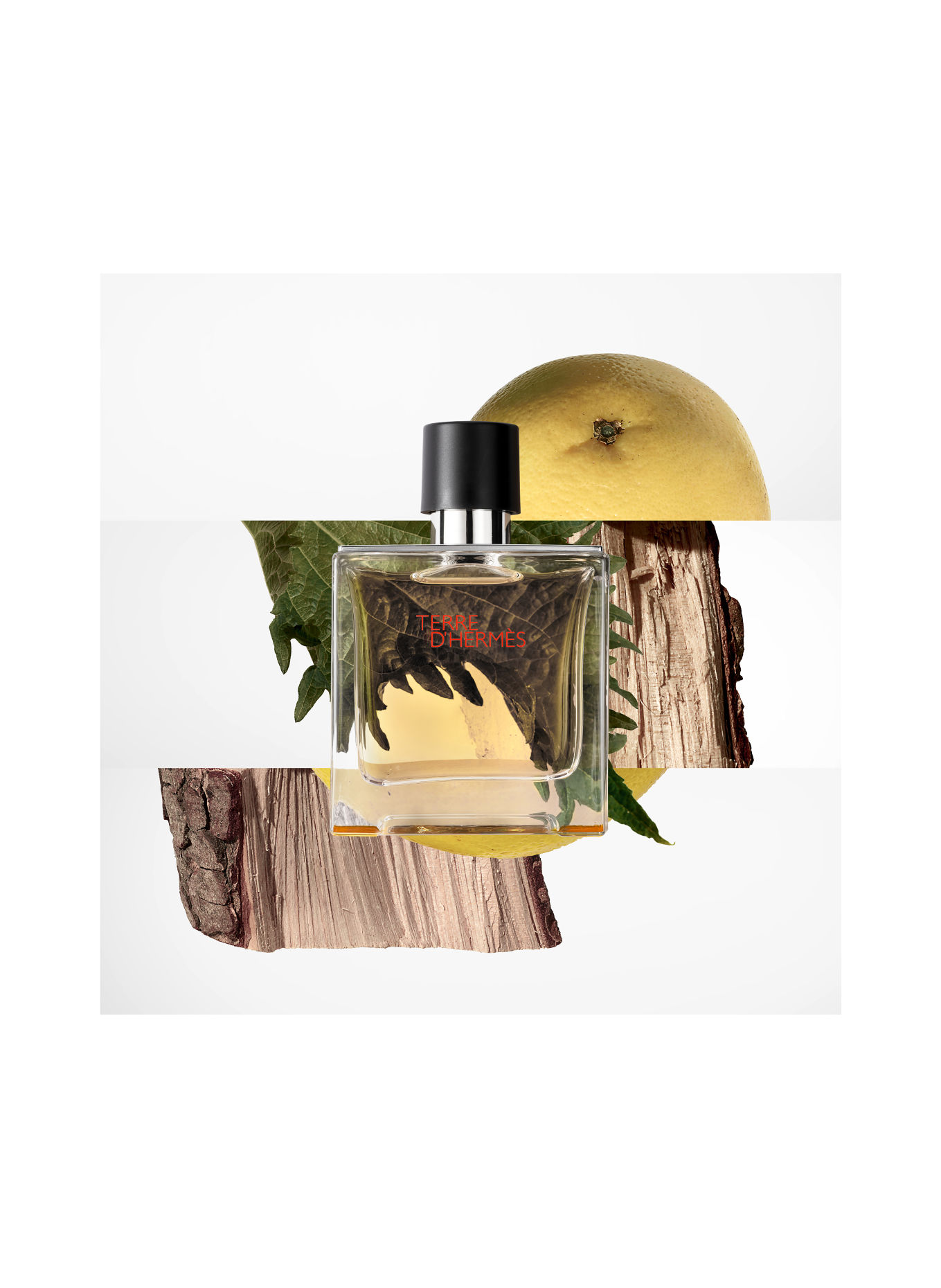 HERMÈS TERRE D'HERMÈS