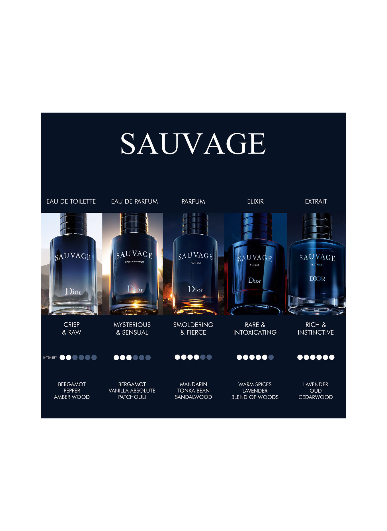 DIOR SAUVAGE ELIXIR