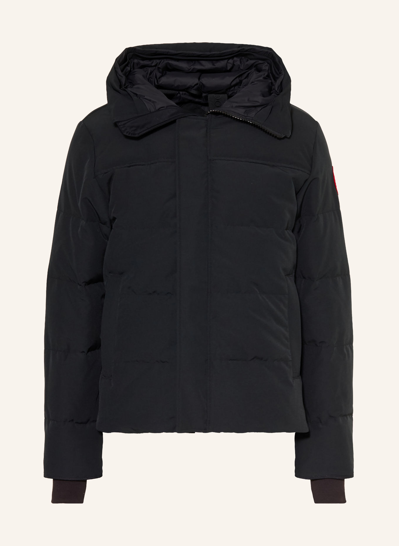 CANADA GOOSE Daunenjacke MACMILLAN: SCHWARZ