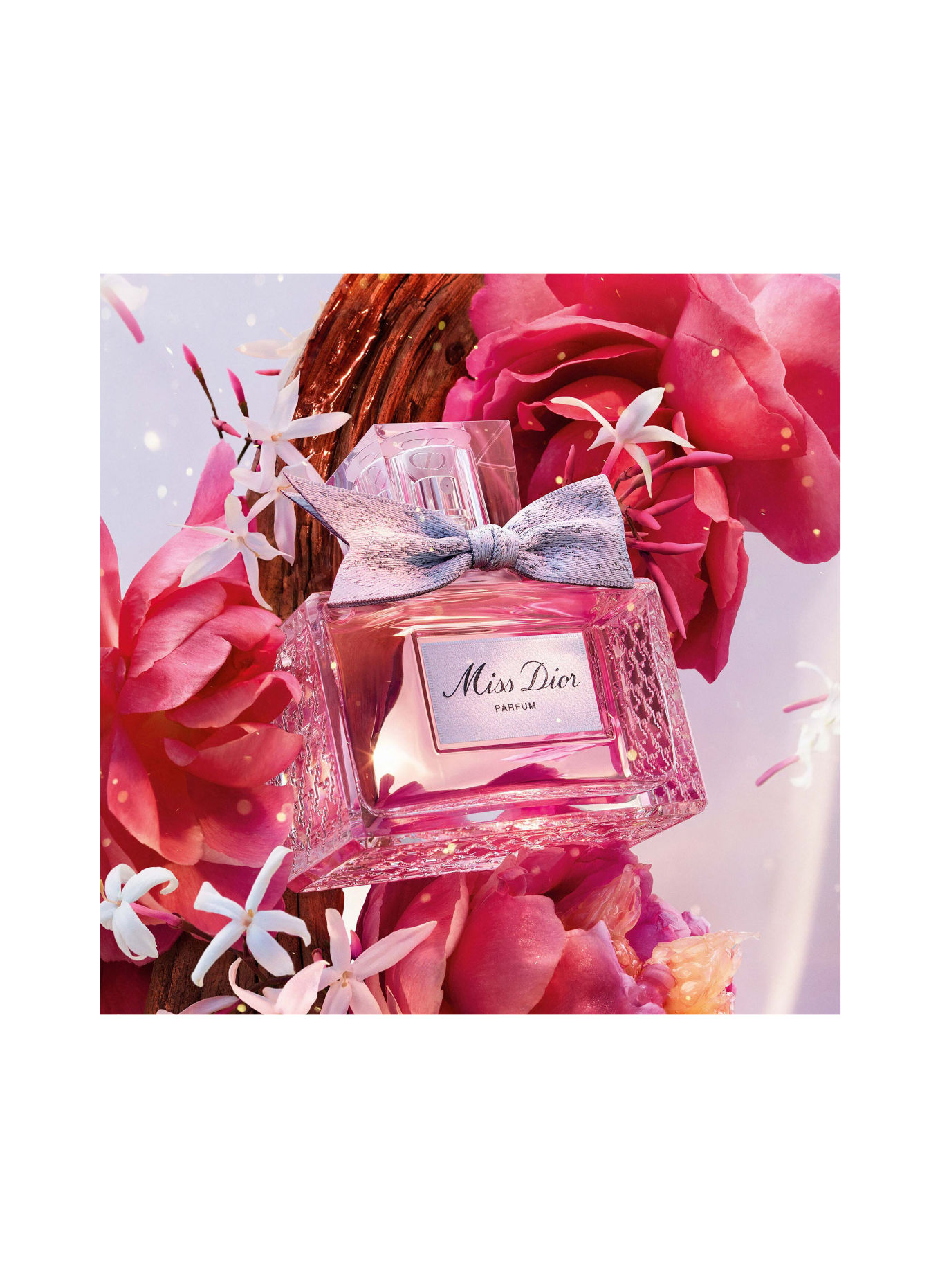 DIOR MISS DIOR