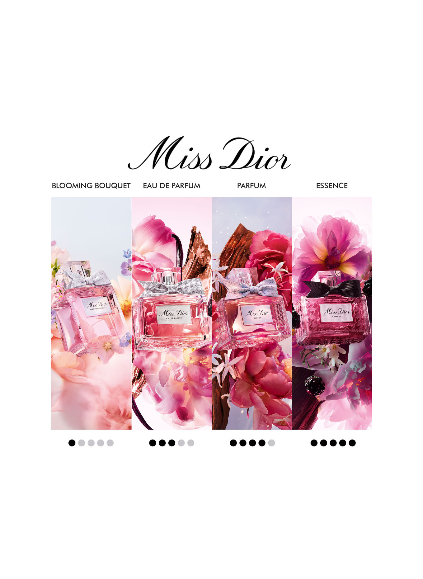 DIOR MISS DIOR