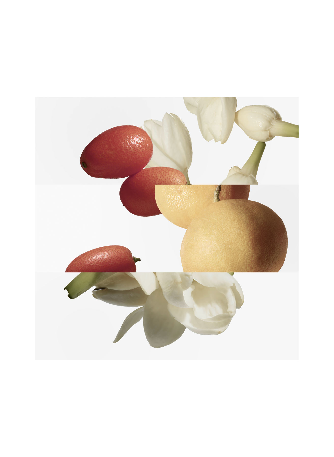 HERMÈS LE JARDIN DE MONSIEUR LI