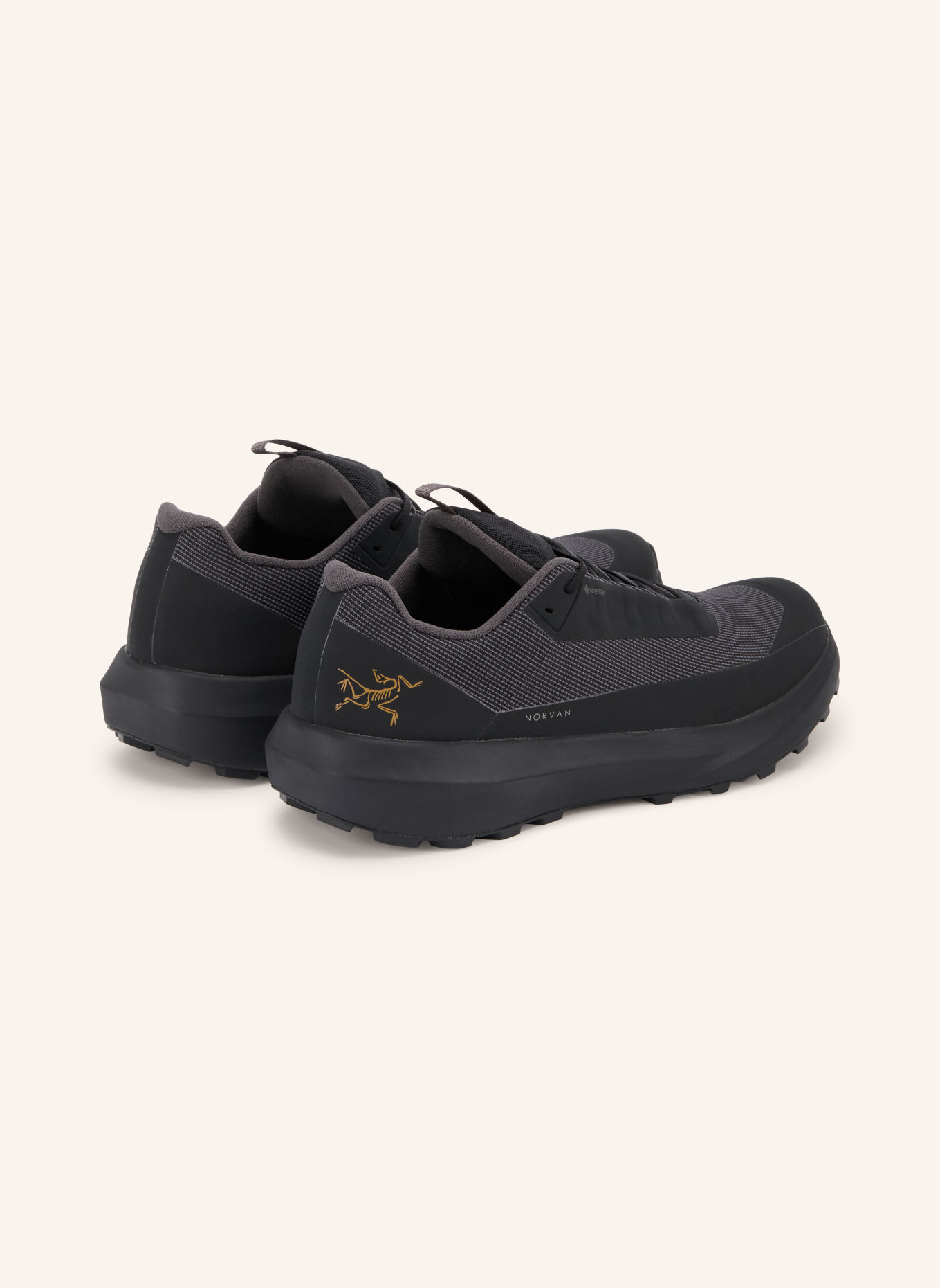 ARC'TERYX NORVAN LD 4 GTX Trail running shoes: BLACK