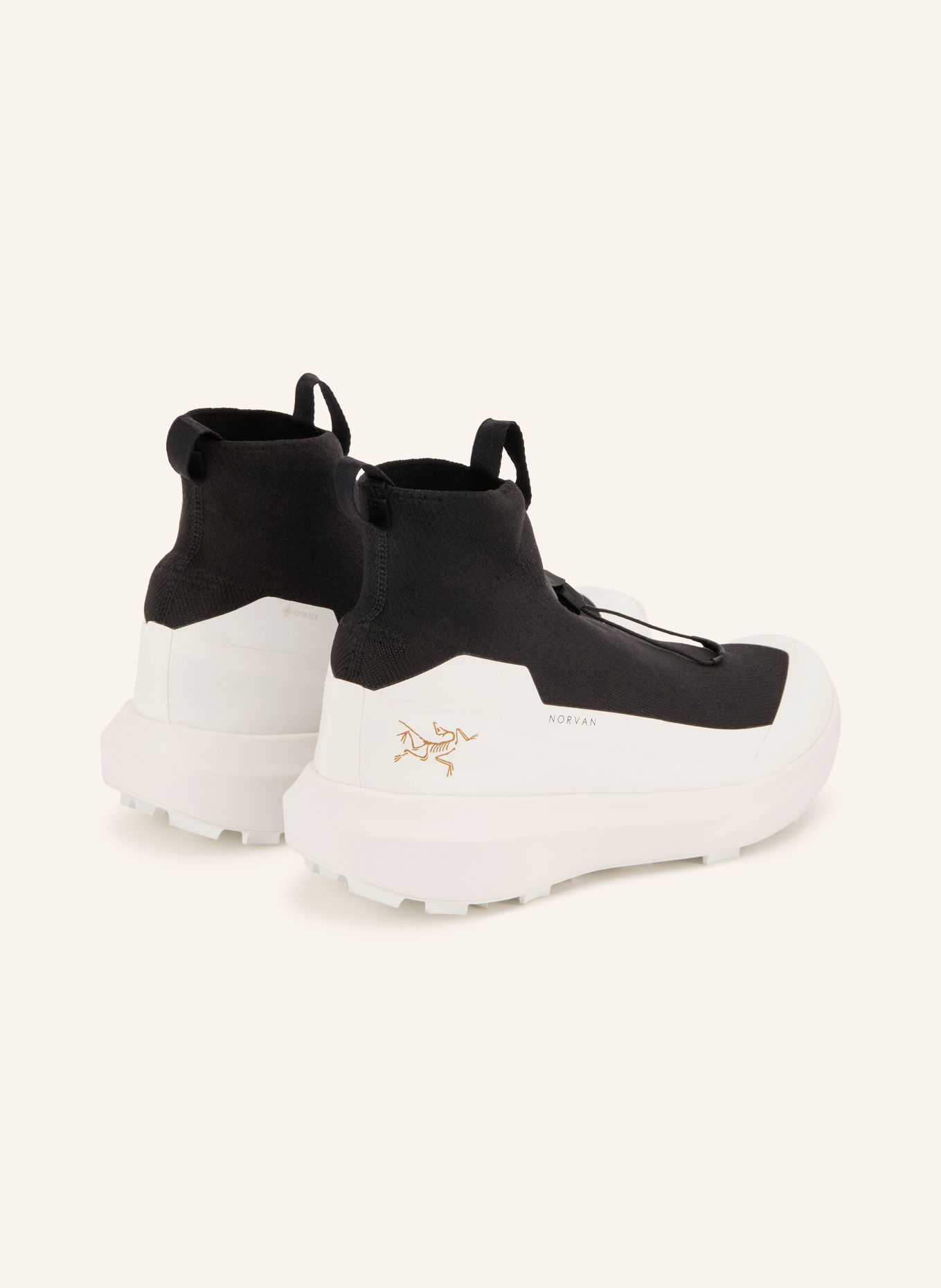 ARC'TERYX Trailrunning-Schuhe NORVAN 4 NIVALIS GTX: SCHWARZ / WEISS