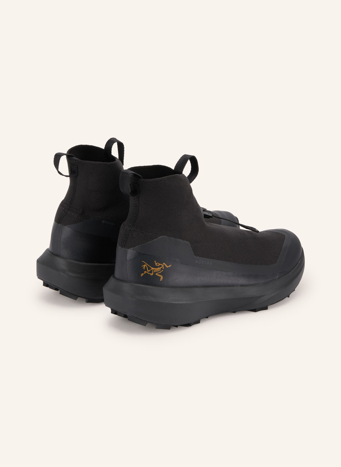 ARC'TERYX Trailrunning-Schuhe NORVAN 4 NIVALIS GTX: SCHWARZ