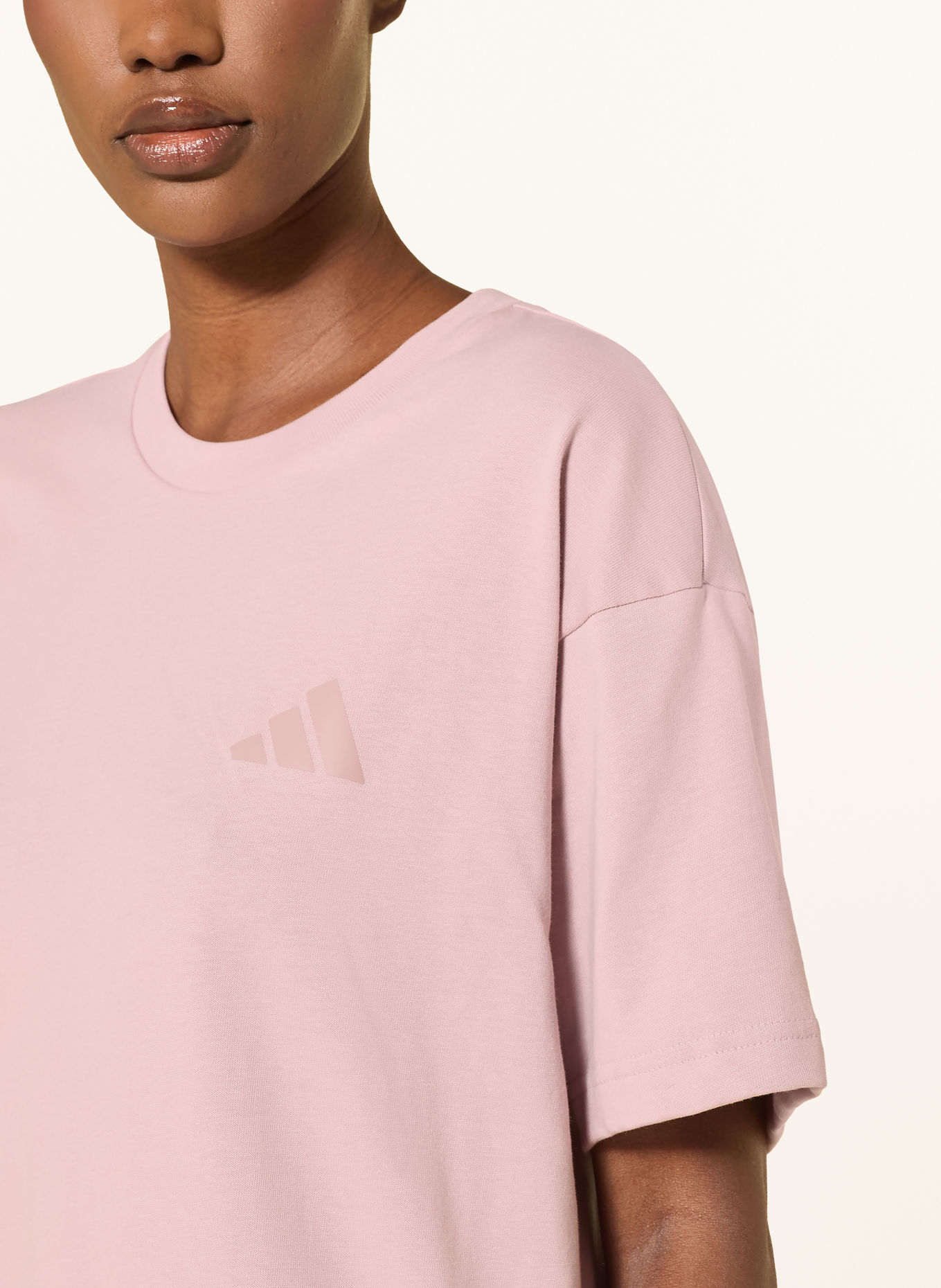 adidas TERREX T-Shirt TERREX ELEMENTS GRAPHIC: ROSÉ / ORANGE / BLAU