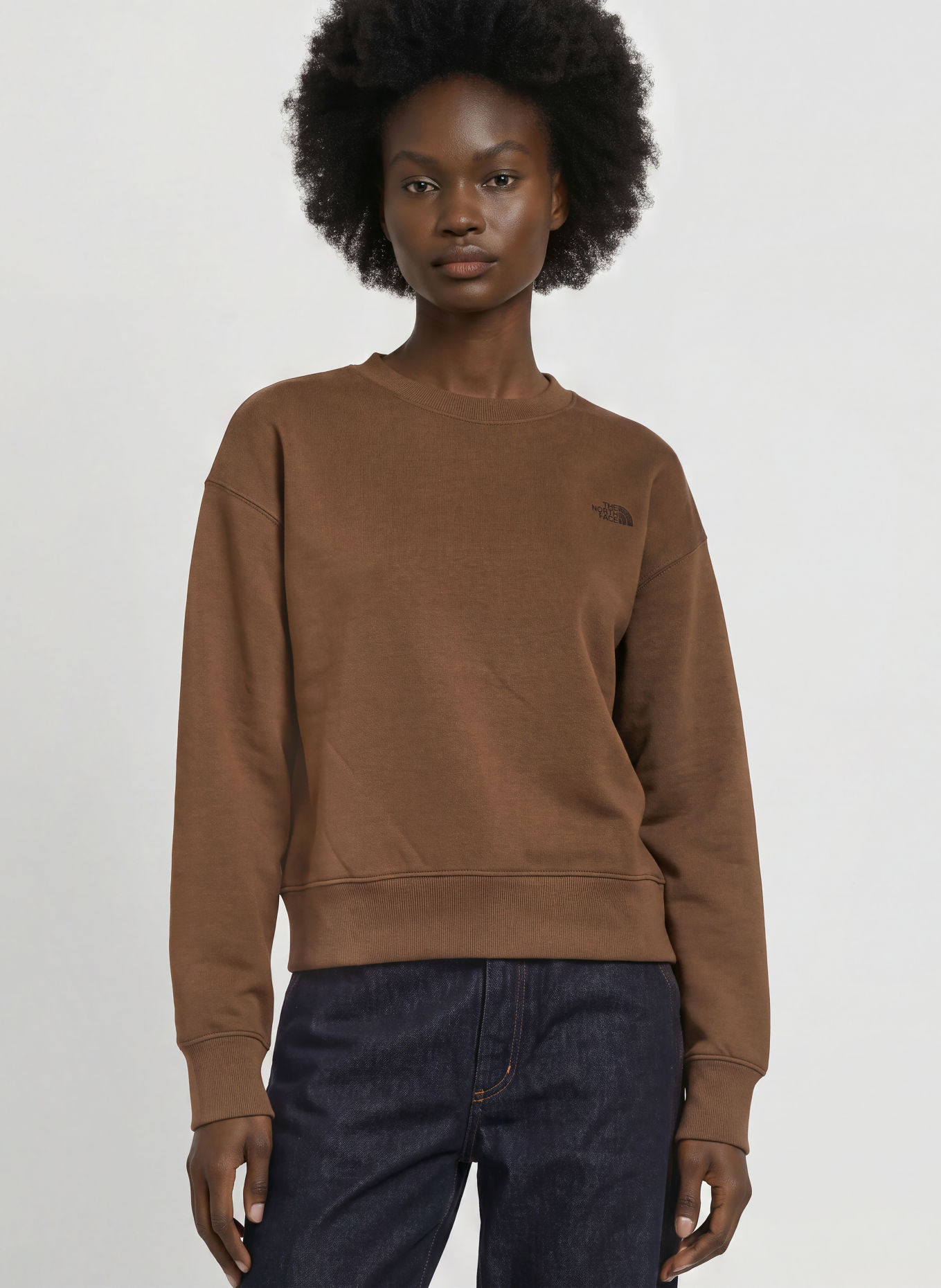 THE NORTH FACE Oversized-Sweatshirt TNF™ ESSENTIAL SIMPLE DOME: BRAUN