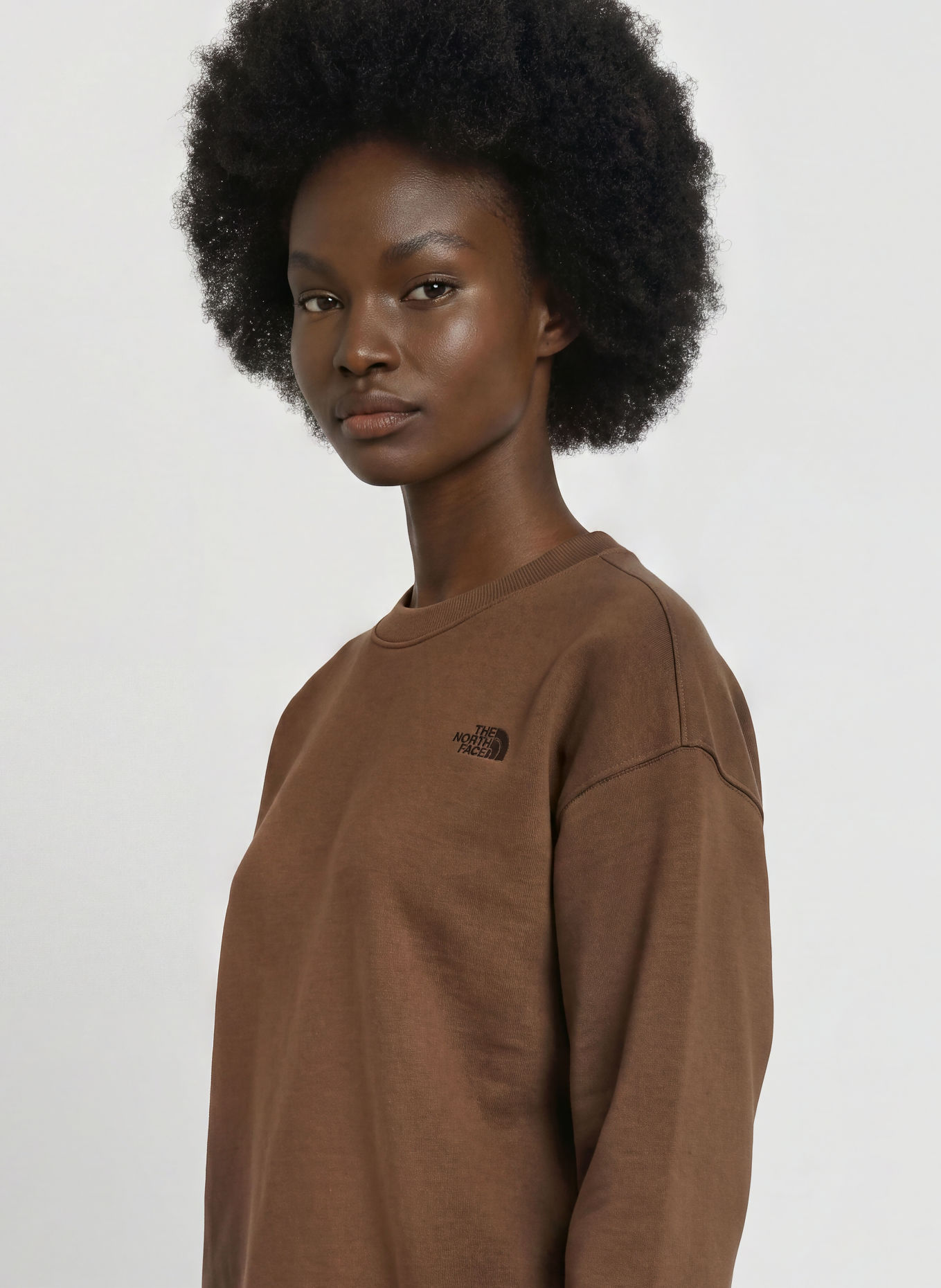 THE NORTH FACE Oversized-Sweatshirt TNF™ ESSENTIAL SIMPLE DOME: BRAUN