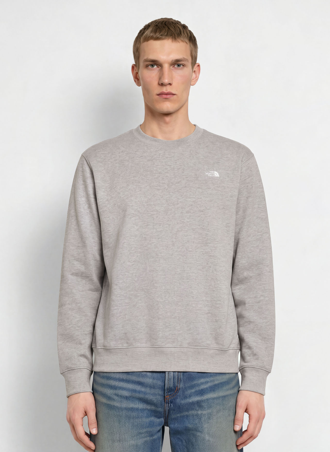 THE NORTH FACE Sweatshirt ESSENTIAL SIMPLE DOME: HELLGRAU