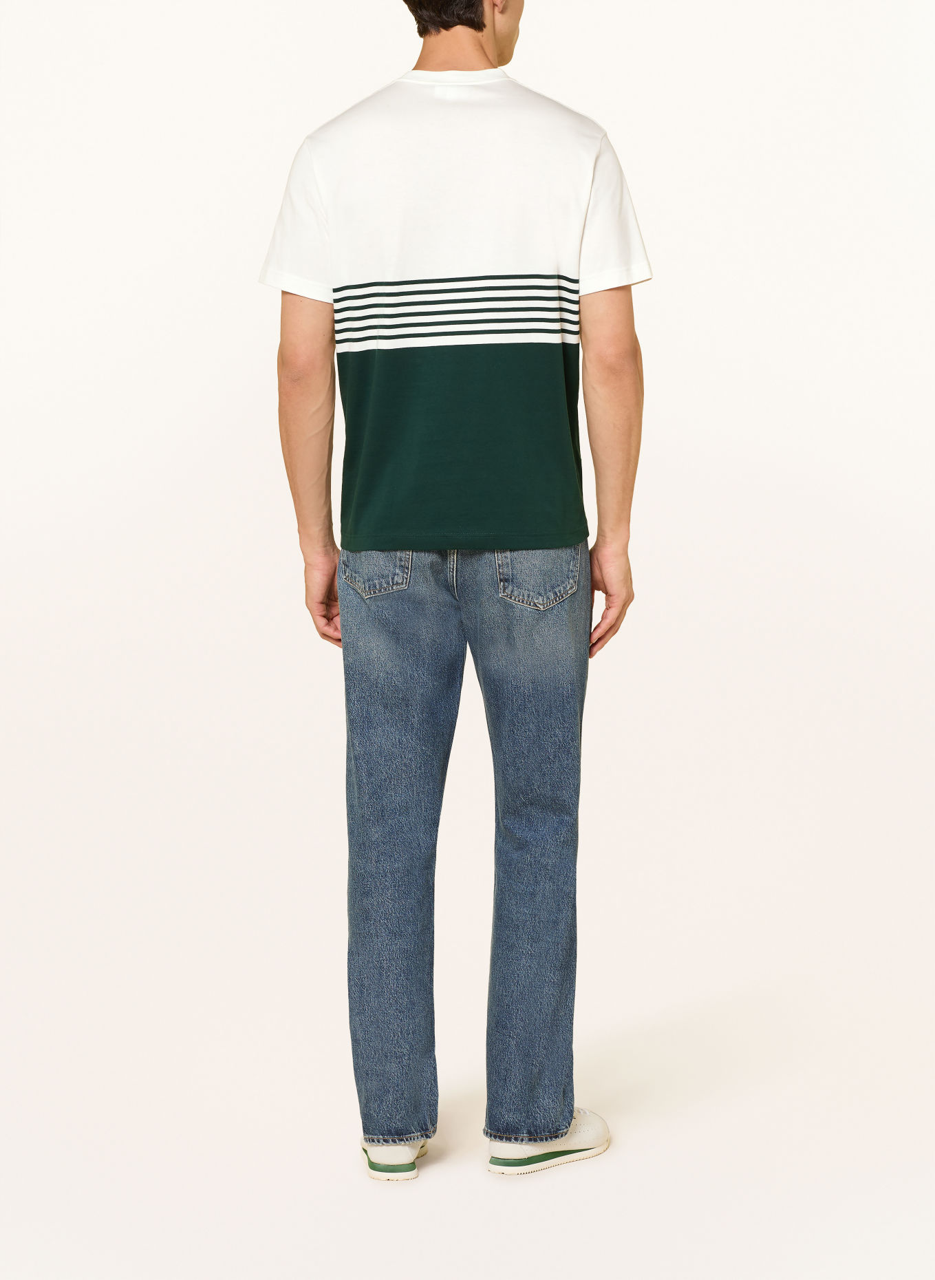 LACOSTE T-shirt: BLANC / GROEN