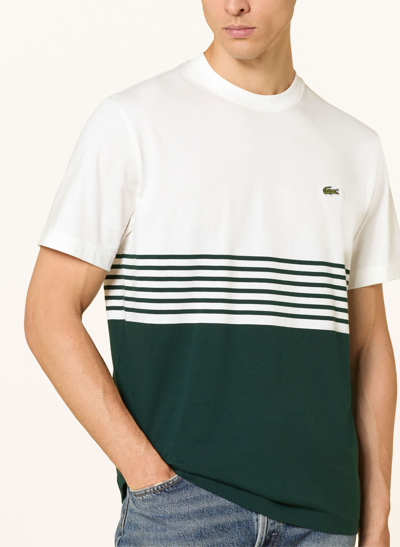 LACOSTE T-shirt: BLANC / GROEN