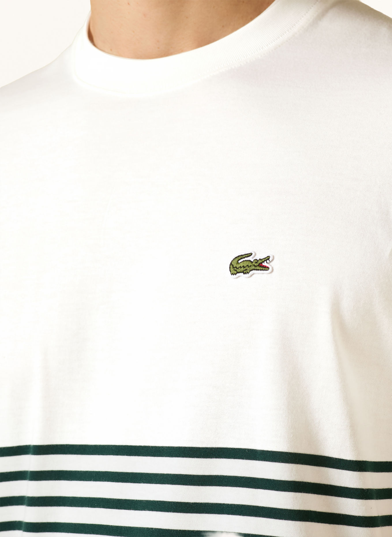 LACOSTE T-shirt: BLANC / GROEN