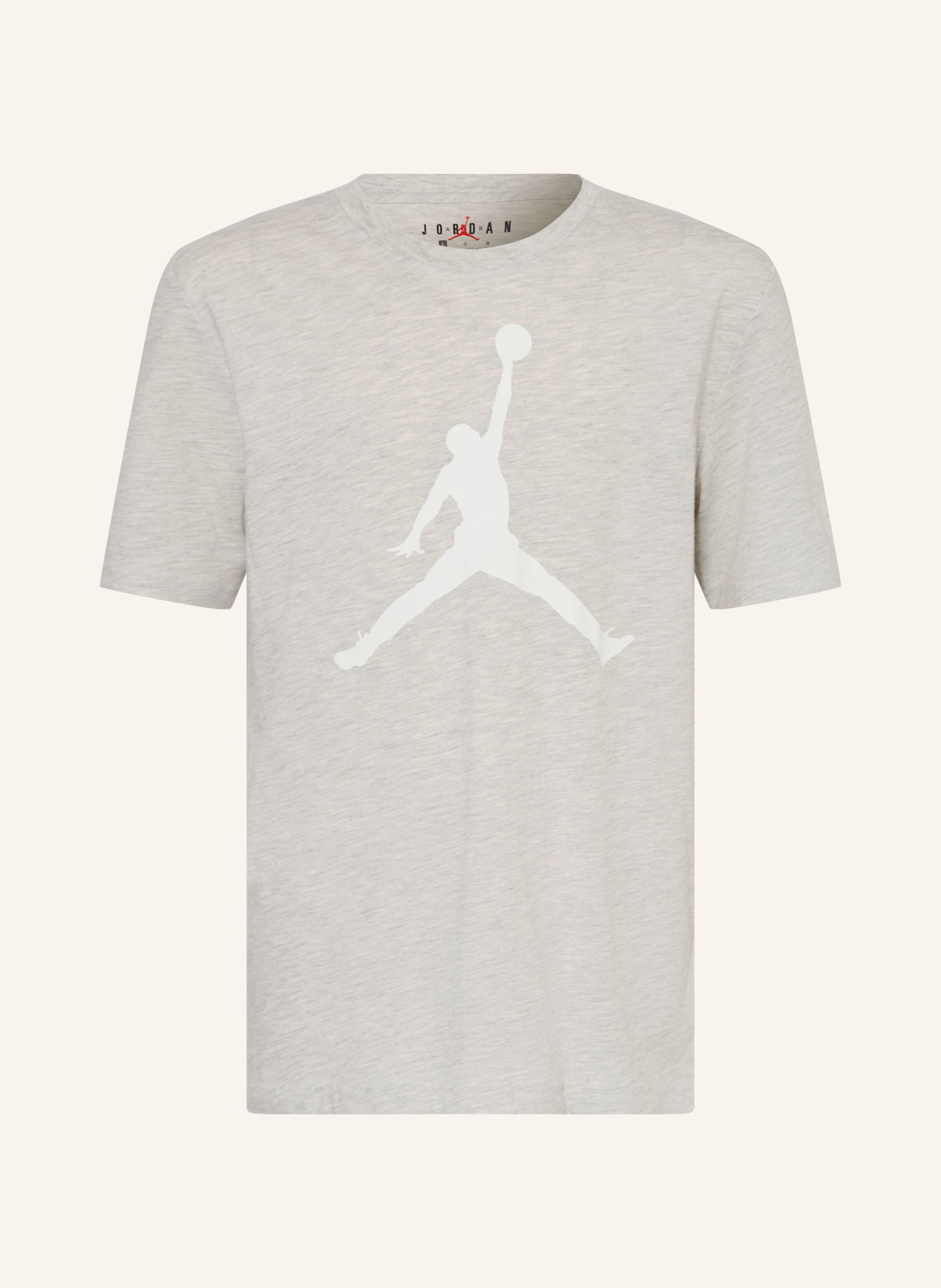 JORDAN T-shirt: GRÅ / VIT