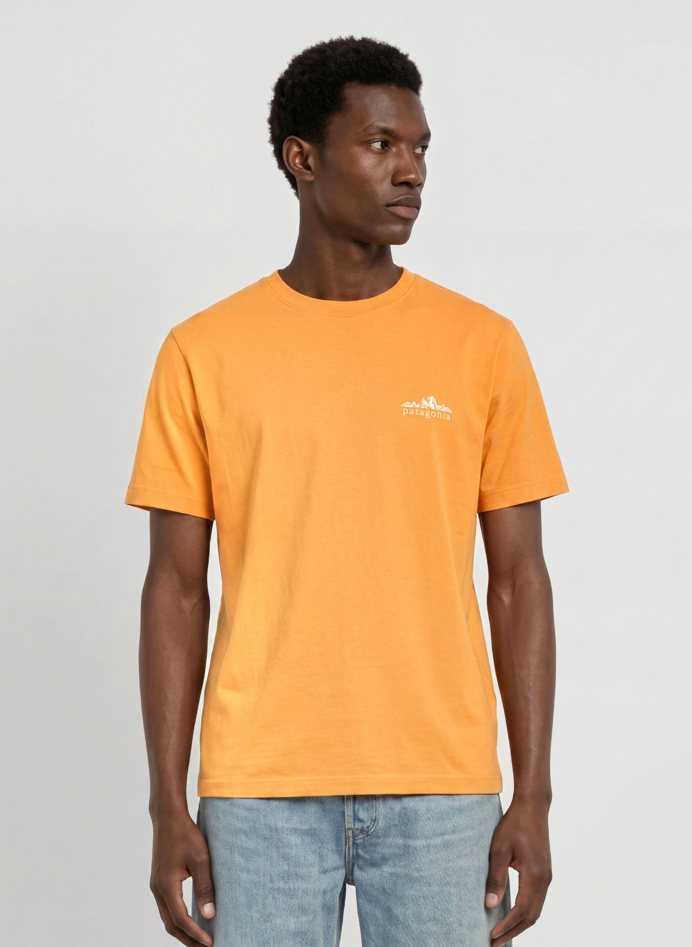 patagonia T-shirt FITZ ROY FOOTHILLS: DONKERGEEL