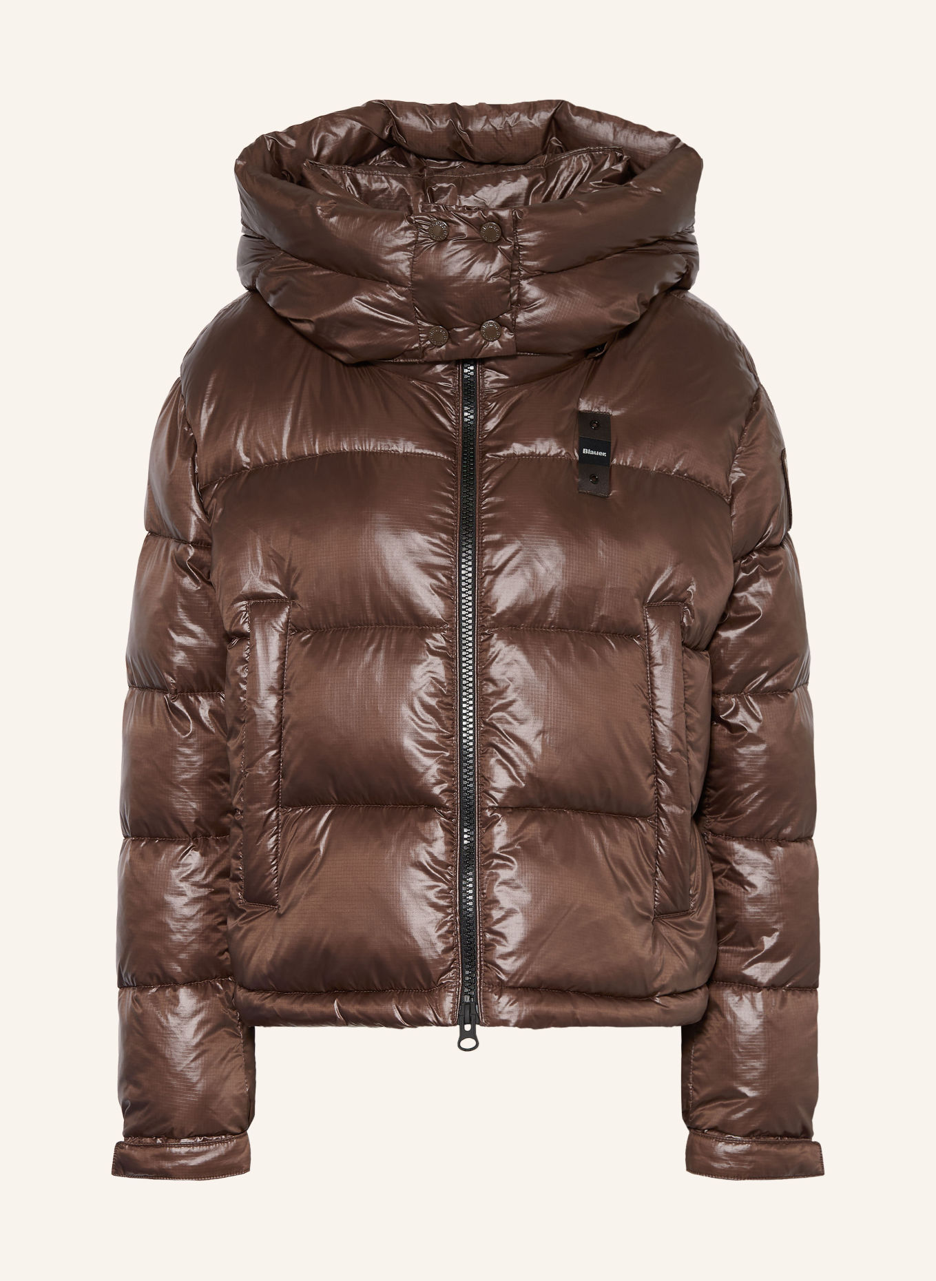 Blauer Steppjacke GLORIA mit abnehmbarer Kapuze: DUNKELBRAUN
