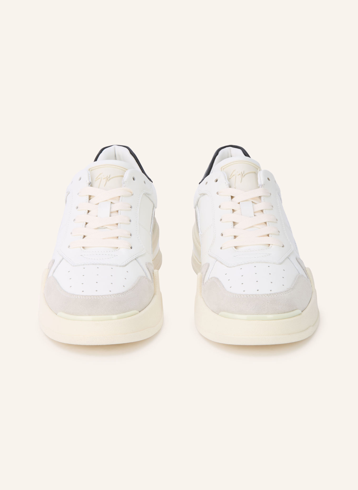 GIUSEPPE ZANOTTI DESIGN Sneakers TOMAIA: BLANC / NOIR