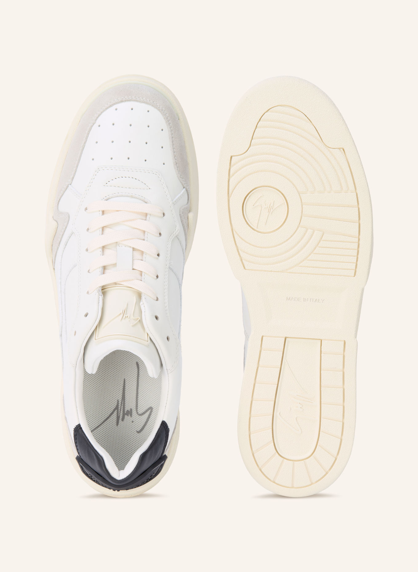 GIUSEPPE ZANOTTI DESIGN Sneakers TOMAIA: BLANC / NOIR