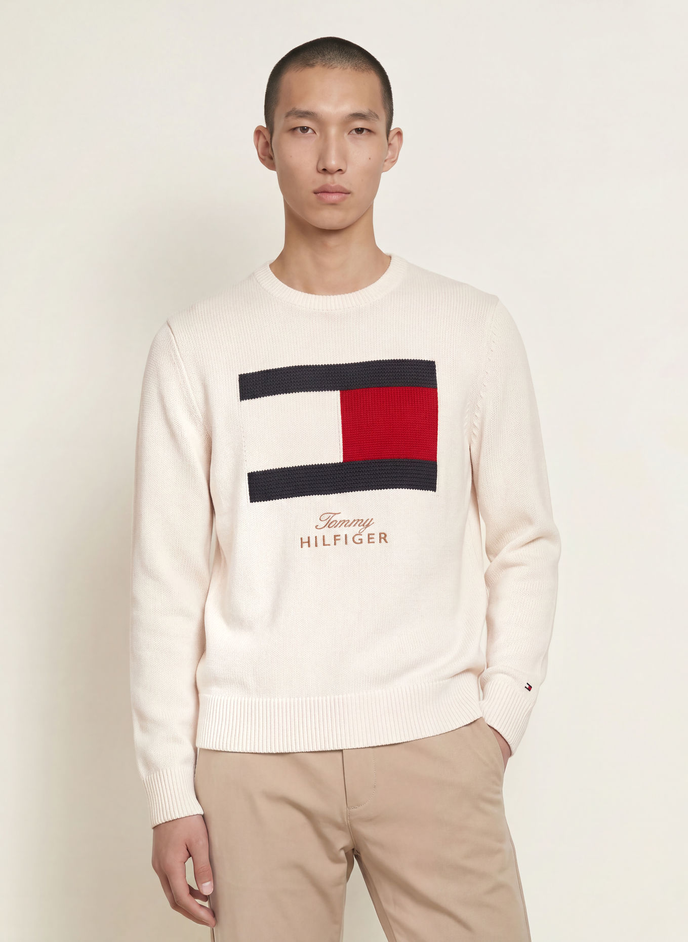 TOMMY HILFIGER Tröja: GRÄDDE / RÖD / SVART