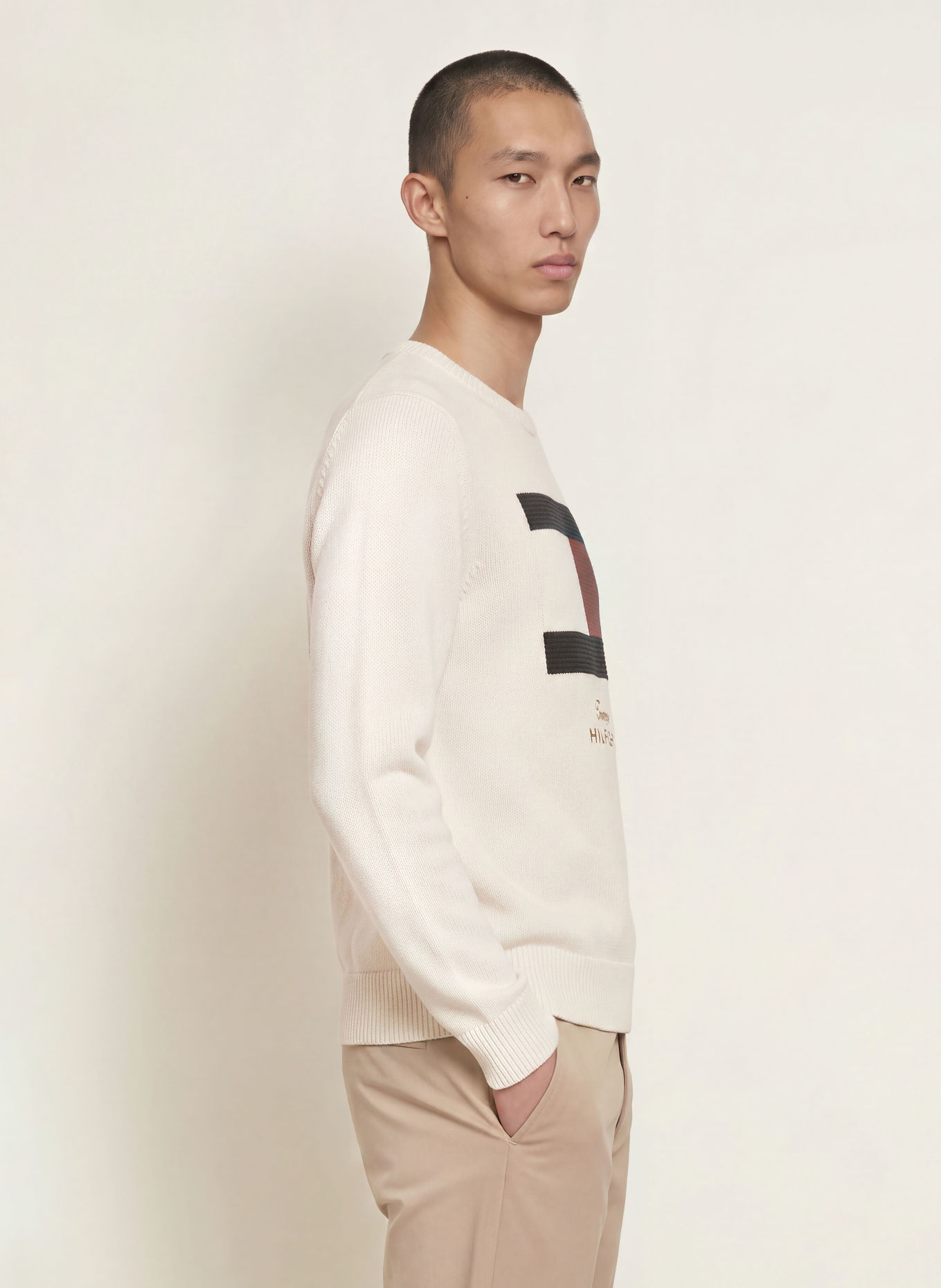 TOMMY HILFIGER Tröja: GRÄDDE / RÖD / SVART