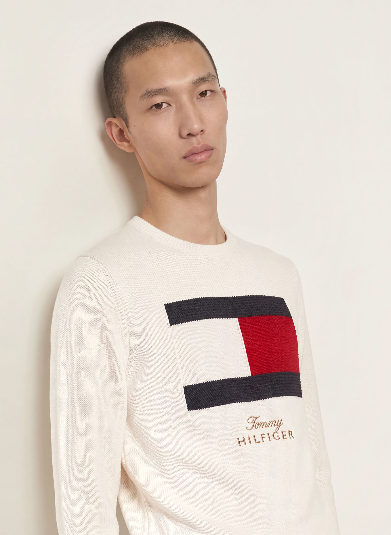 TOMMY HILFIGER Tröja: GRÄDDE / RÖD / SVART