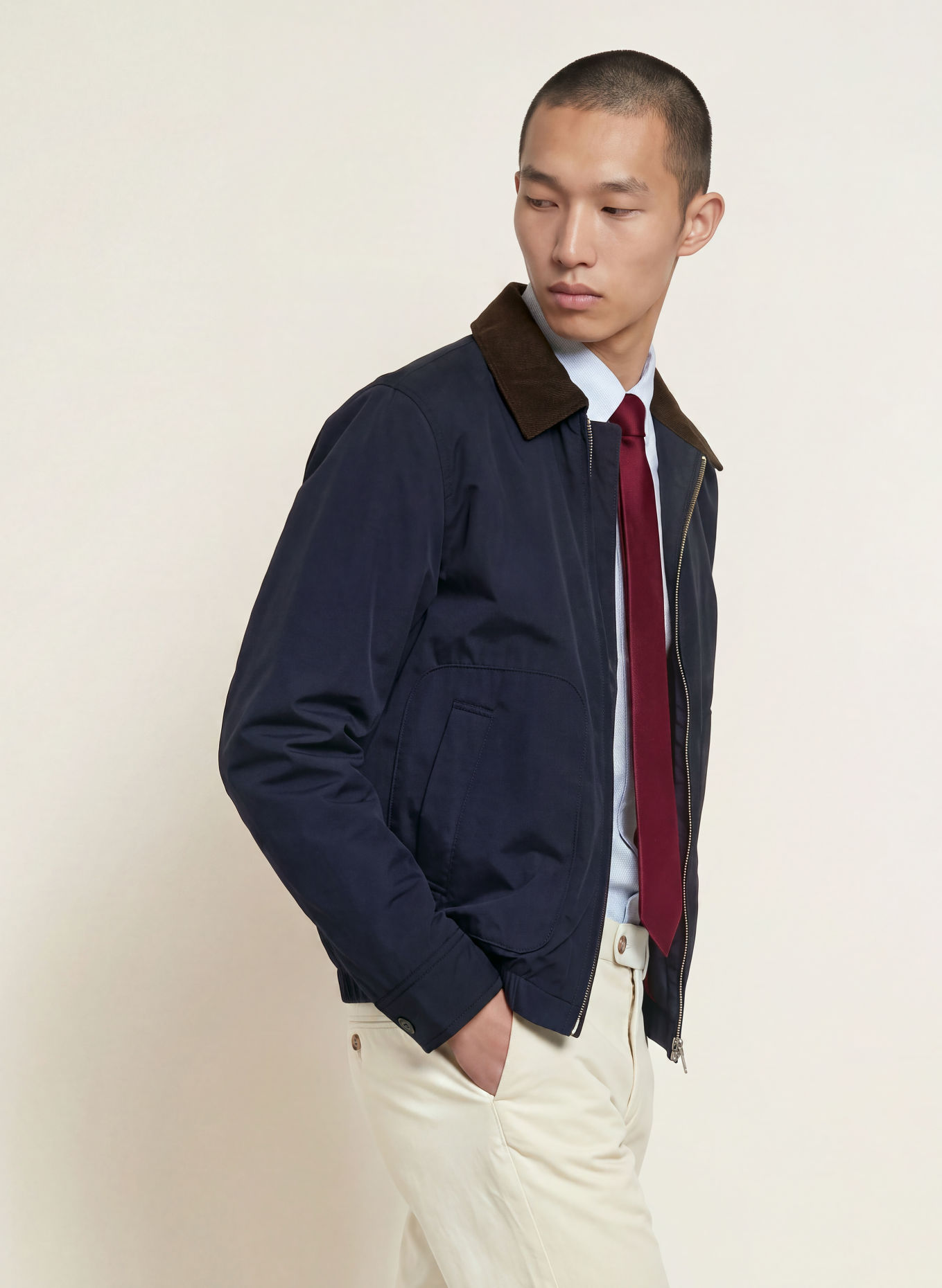 TOMMY HILFIGER Jacke: DUNKELBLAU / DUNKELBRAUN