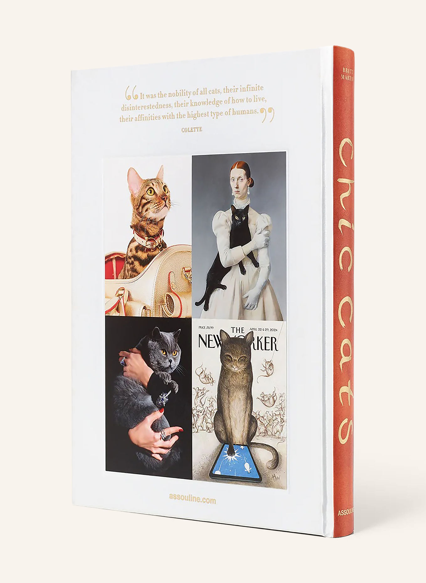 ASSOULINE Book: CHIC CATS: ORANGE / GOLD / WHITE