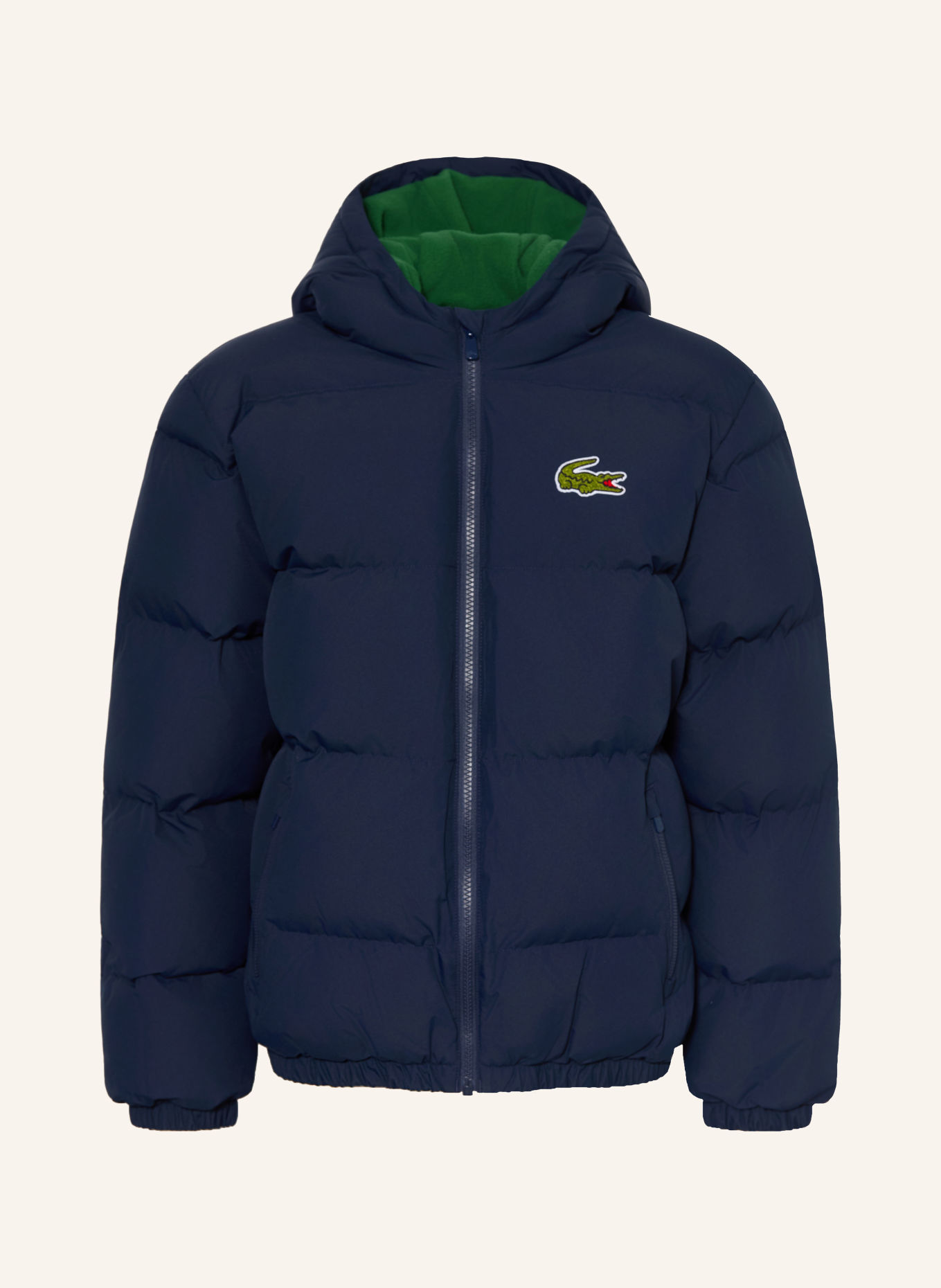 LACOSTE Gewatteerde jas: DONKERBLAUW / DONKERGROEN