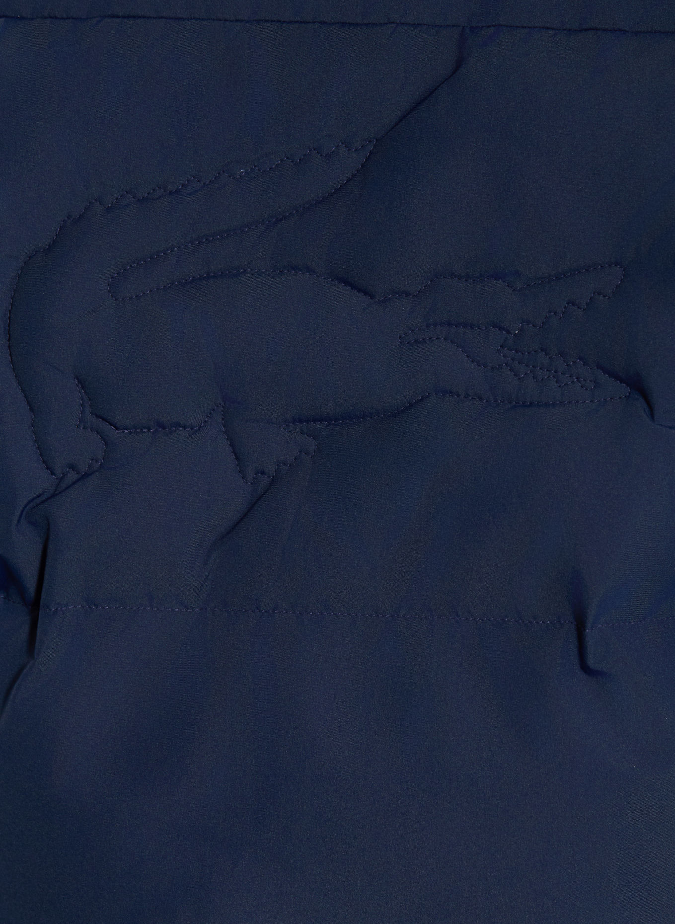 LACOSTE Gewatteerde jas: DONKERBLAUW / DONKERGROEN