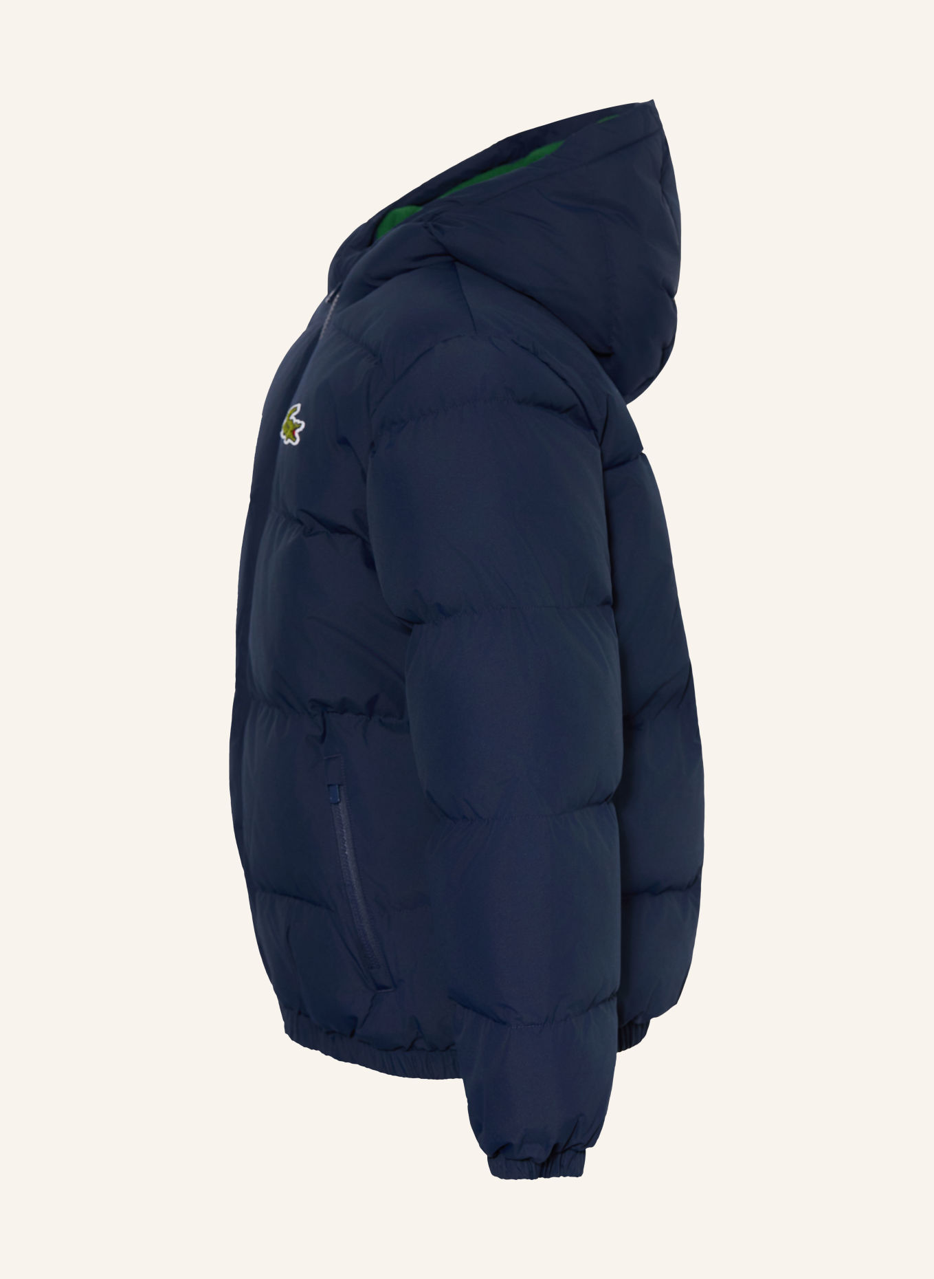 LACOSTE Gewatteerde jas: DONKERBLAUW / DONKERGROEN