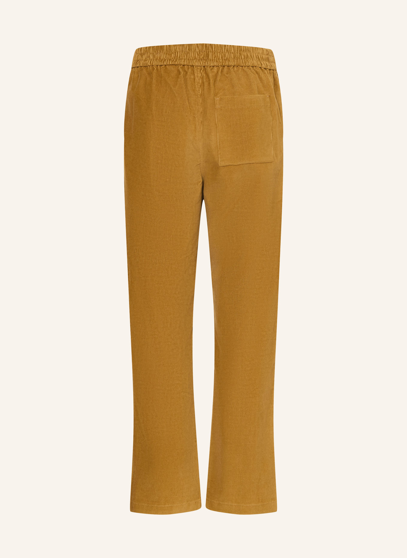 BURBERRY Corduroy pants: DARK YELLOW