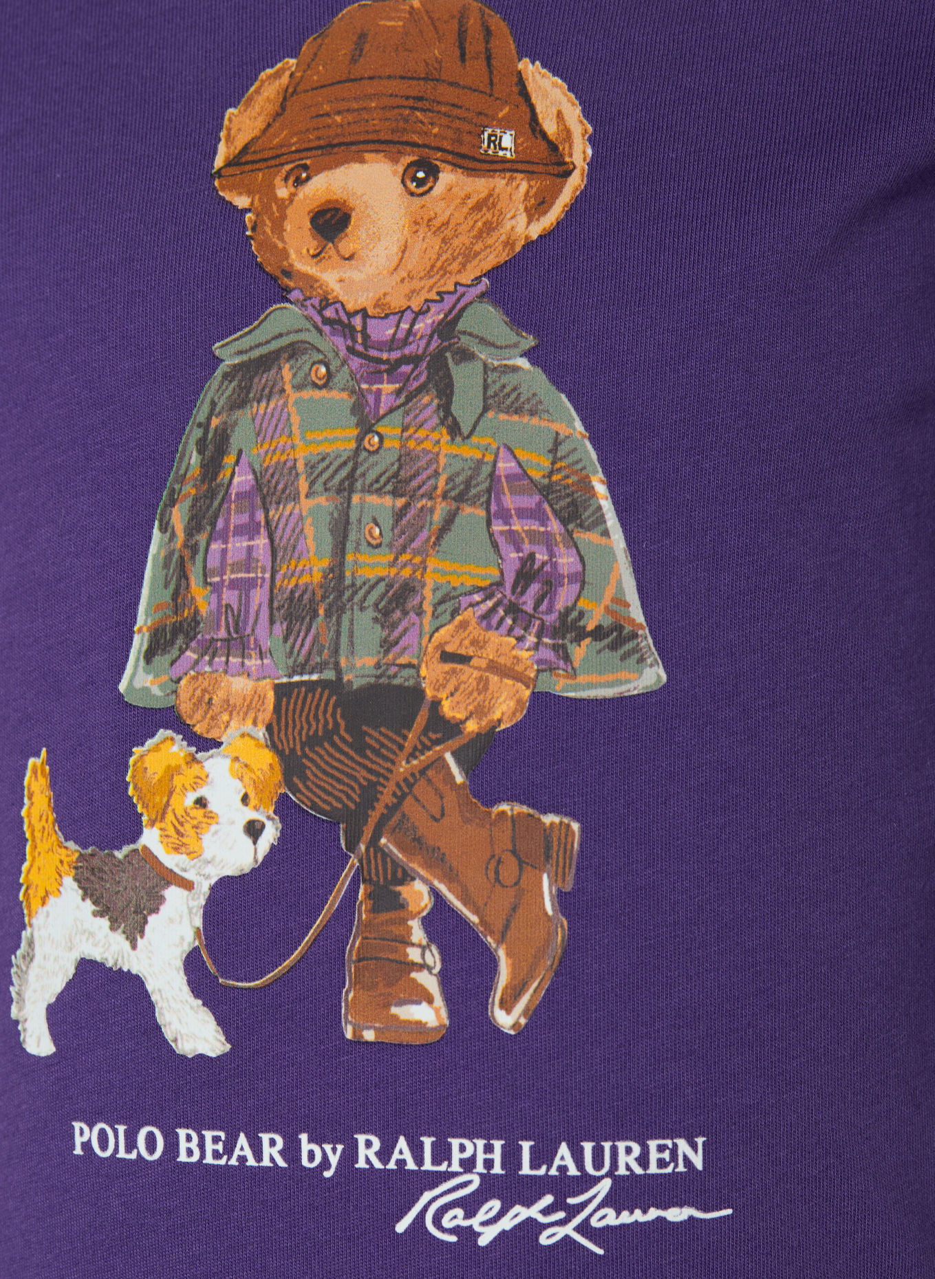 POLO RALPH LAUREN Longsleeve: PAARS